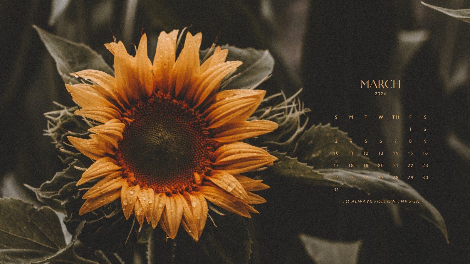 1600x900 customizable wallpaper sunflower templates