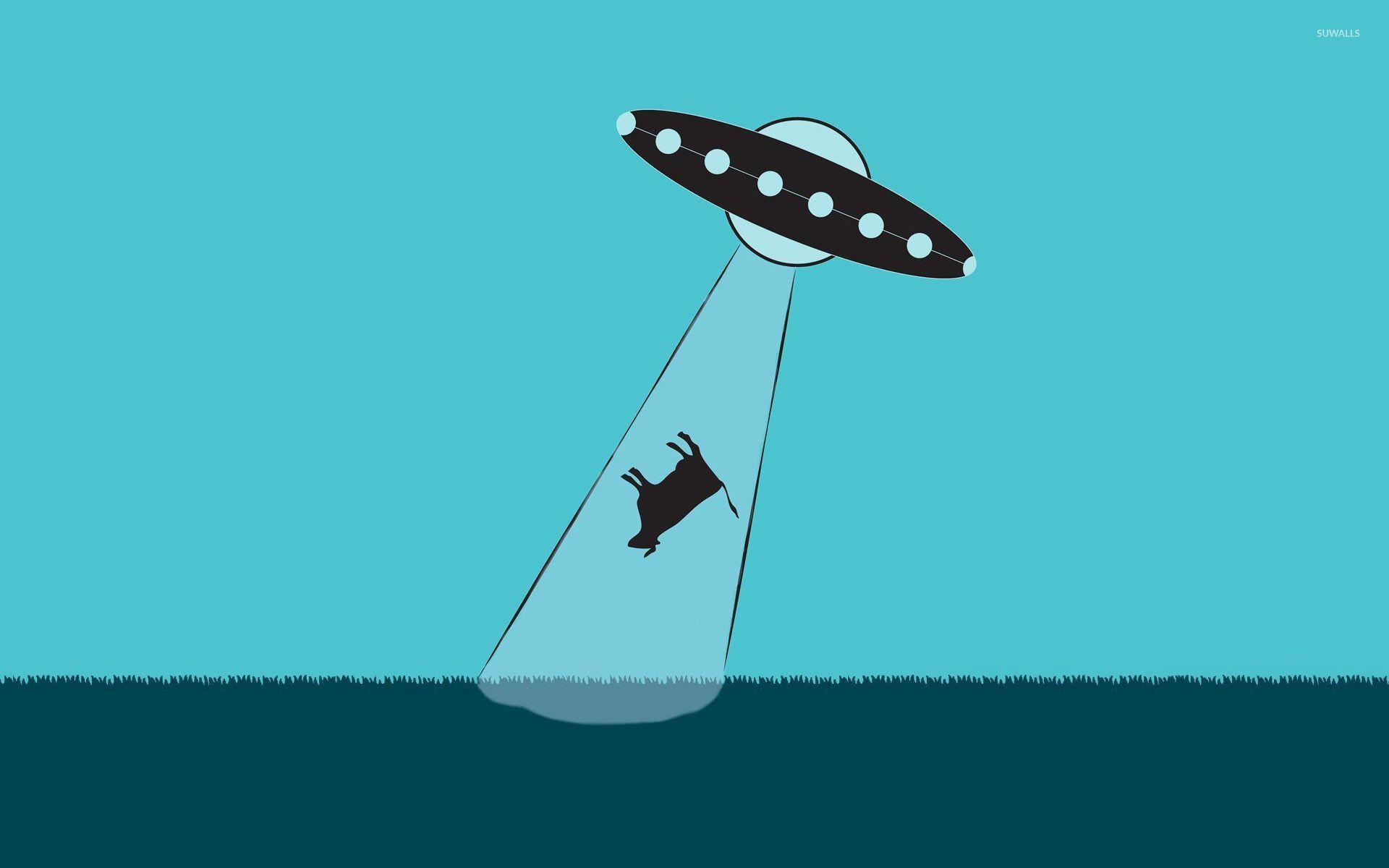 1920x1200 Cow abduction wallpaper wallpaper