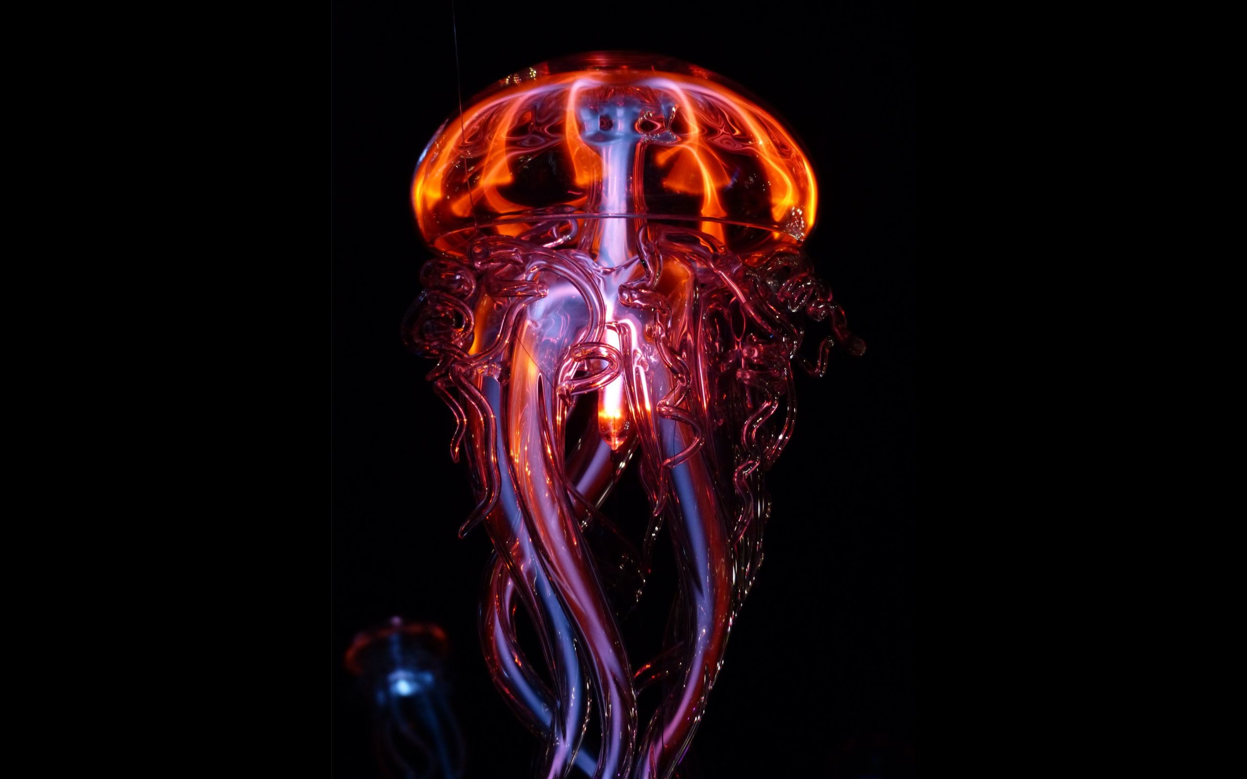 2560x1600 wallpaper: Luminous jellyfish 2560x1600