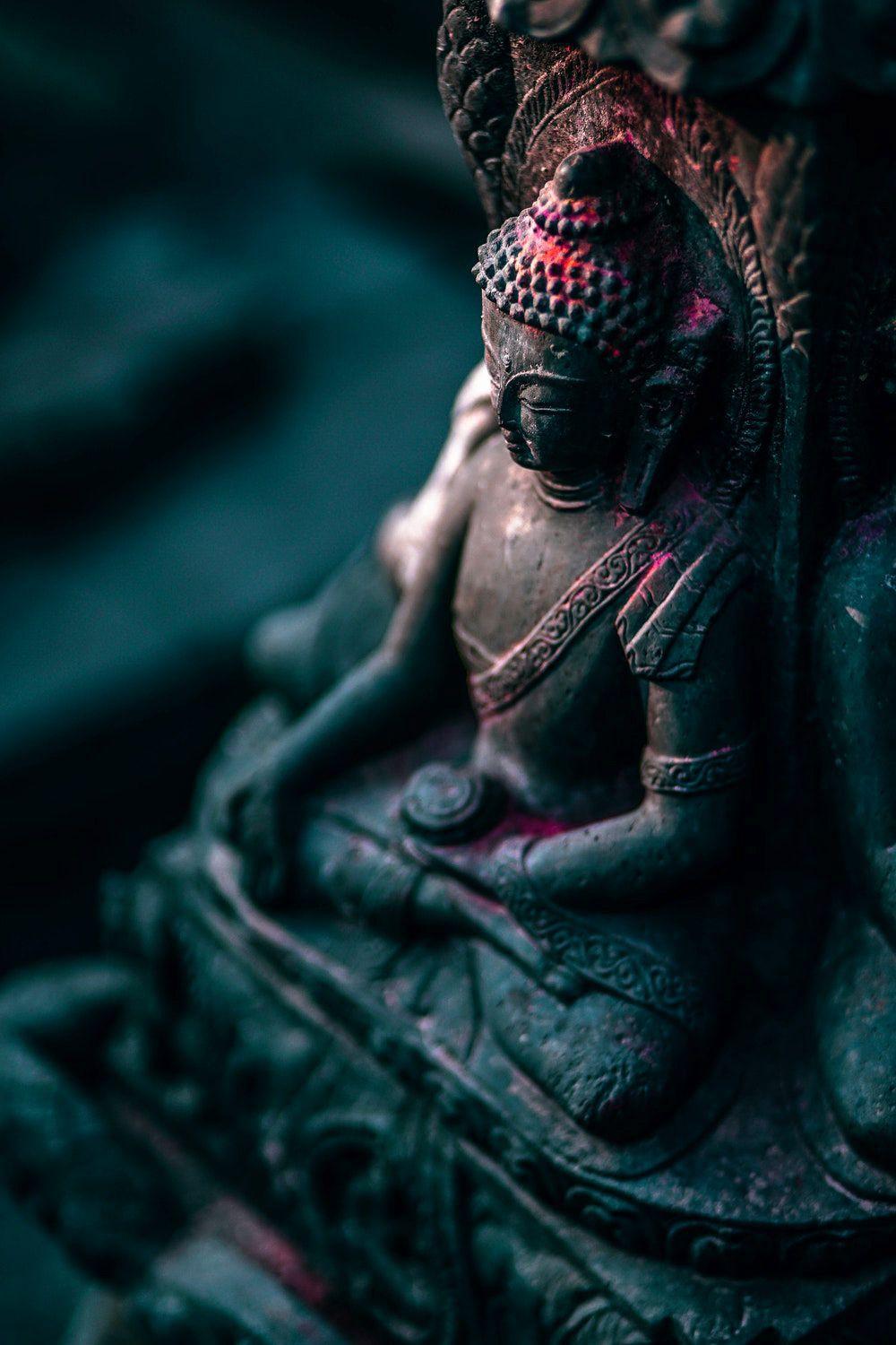 1000x1500 Gautama Buddha image Wallpaper Photo Pics HD Free Download