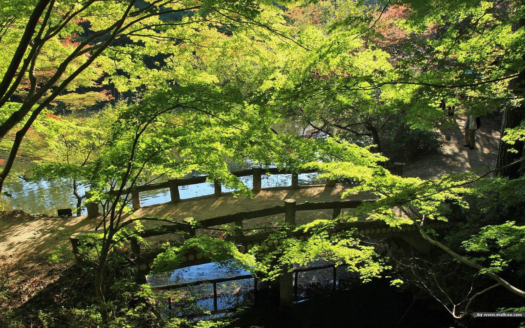 1680x1050 1680*1050 Beautiful Japanese Garden wallpaper 1680x1050 NO