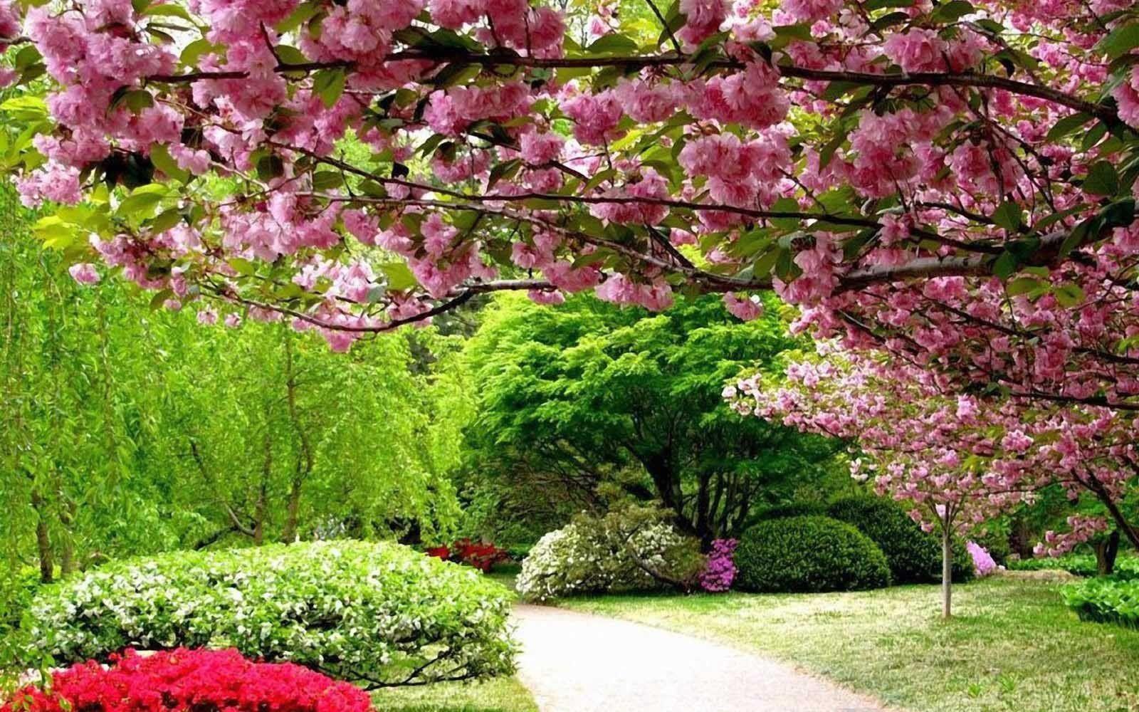1600x1000 Beautiful, Japanese, Gardening, Desktop, Background, Image