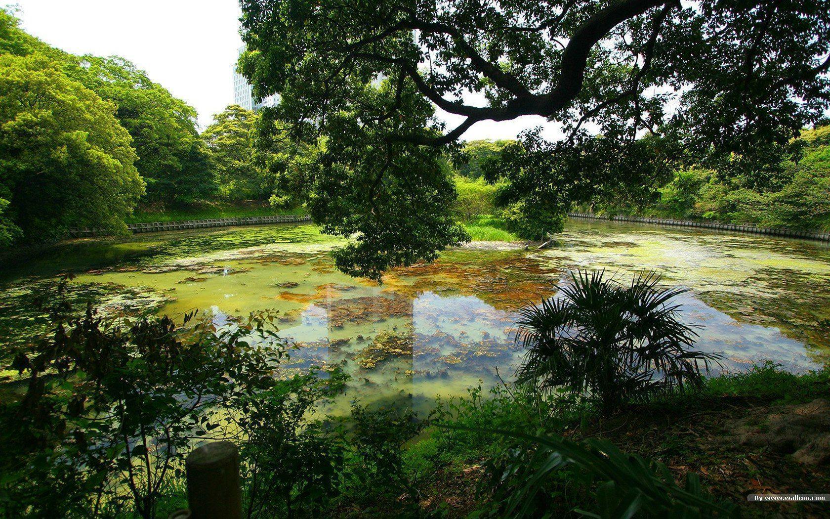 1680x1050 Japanese Garden Wallpaper