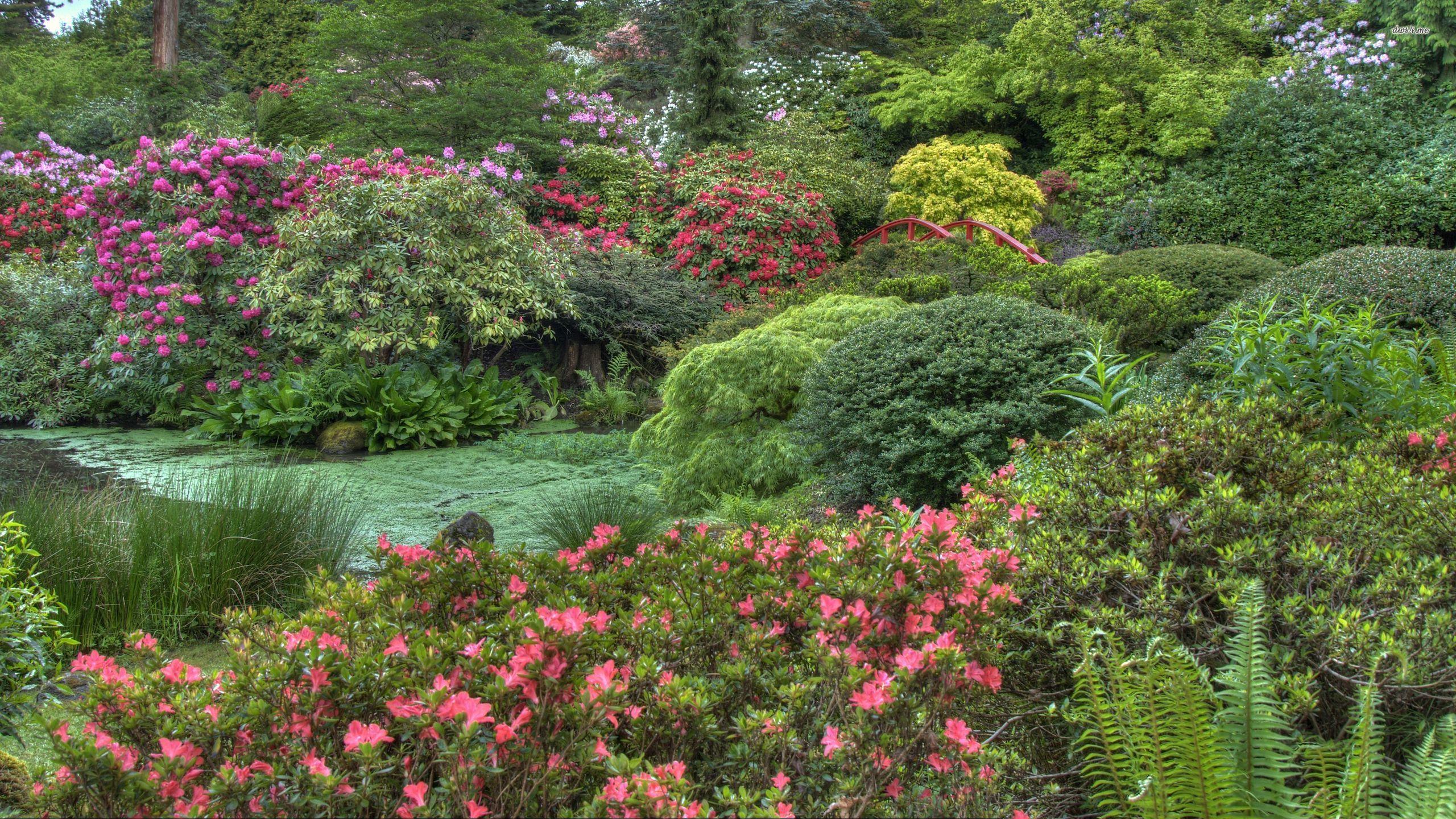 2560x1440 Beautiful flower bushes in an amazing Japanese garden