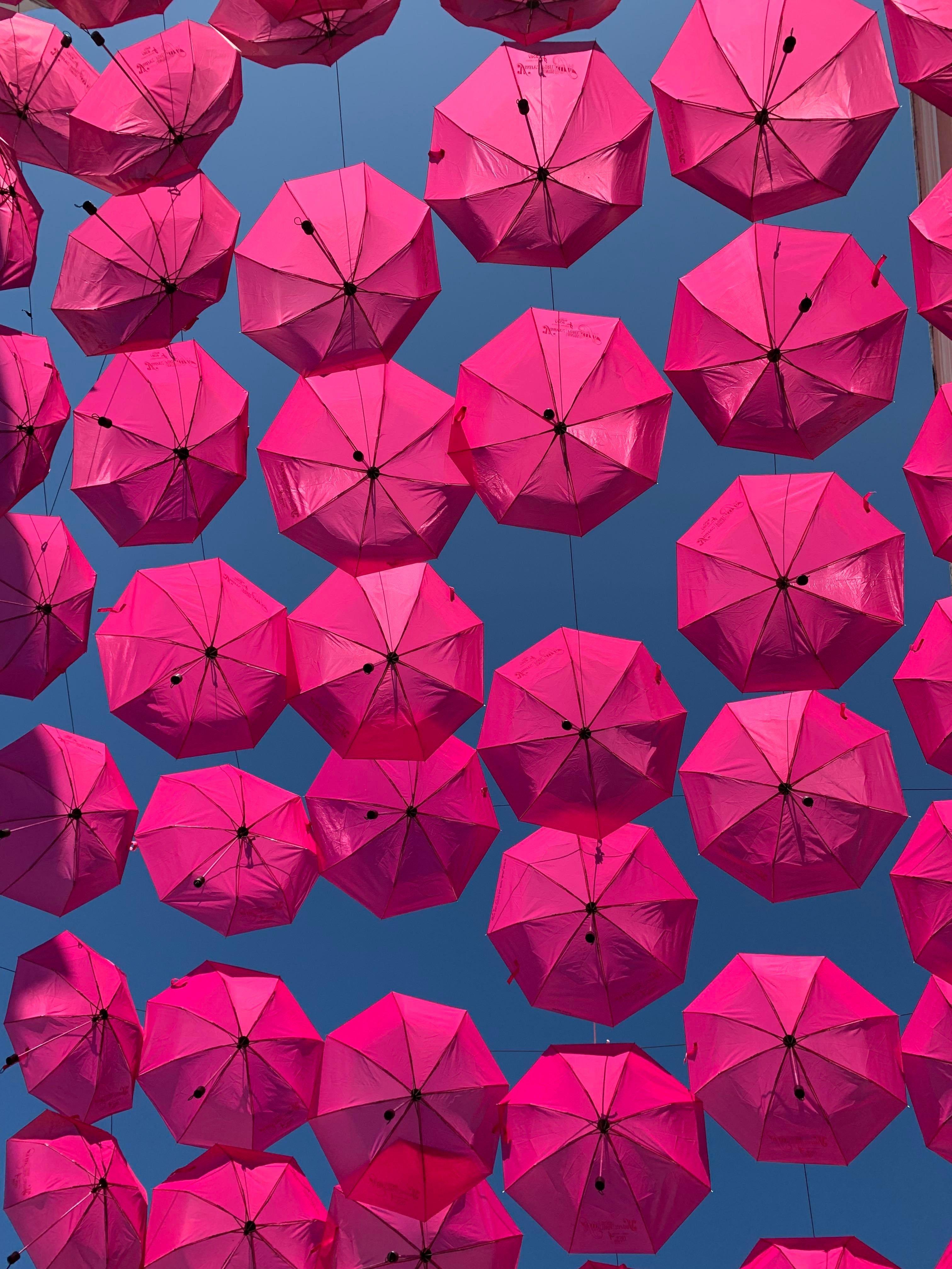 3024x4032 Together in pink initiative. An installation at Fortaleza