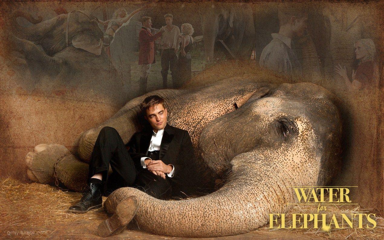 1270x794 Gorgeous 'Water For Elephants' wallpaper by Gittsy!. Water
