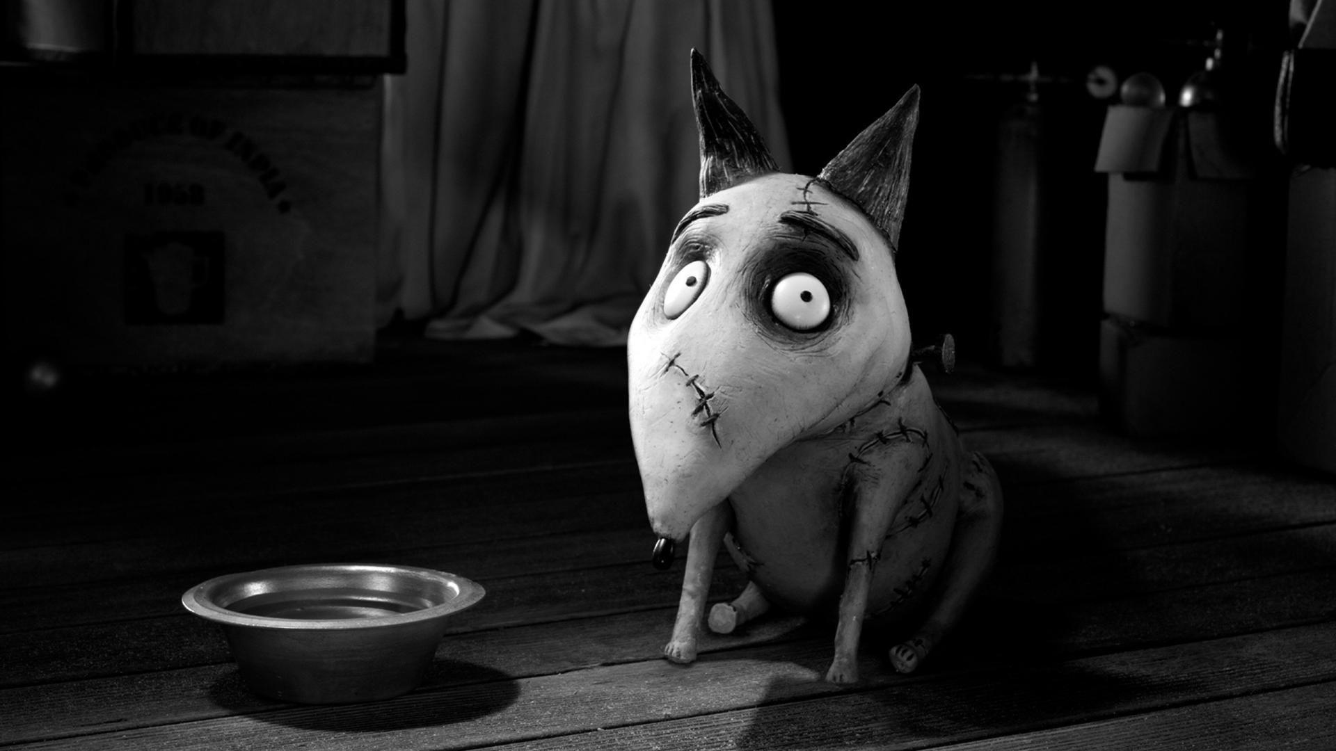 1920x1080 Movies tim burton frankenweenie wallpaper
