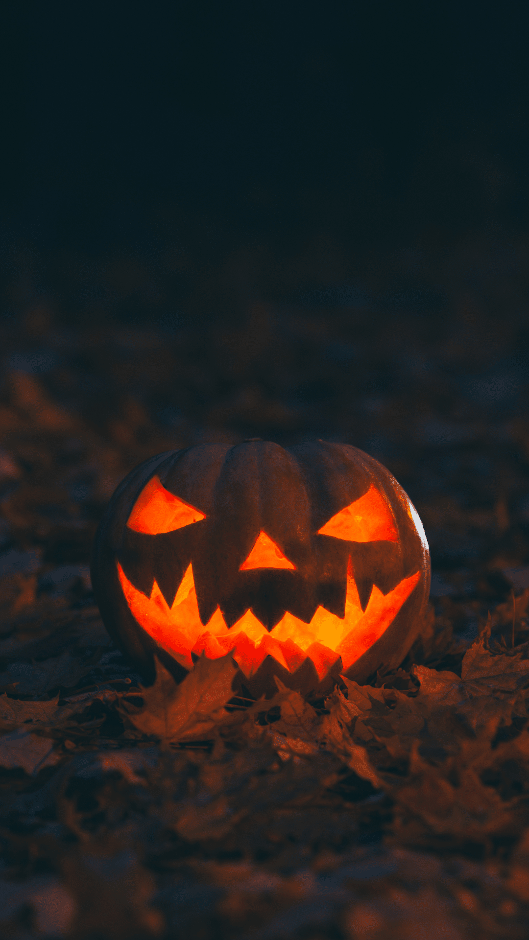 1080x1920 FREE Aesthetic Fall Phone Wallpaper For Spooky Season