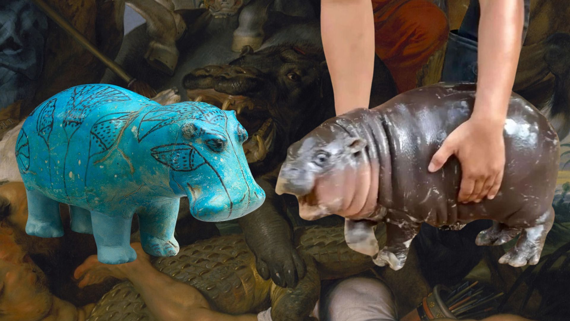 Moo Deng Wallpapers - Top Free Moo Deng Backgrounds - WallpaperAccess