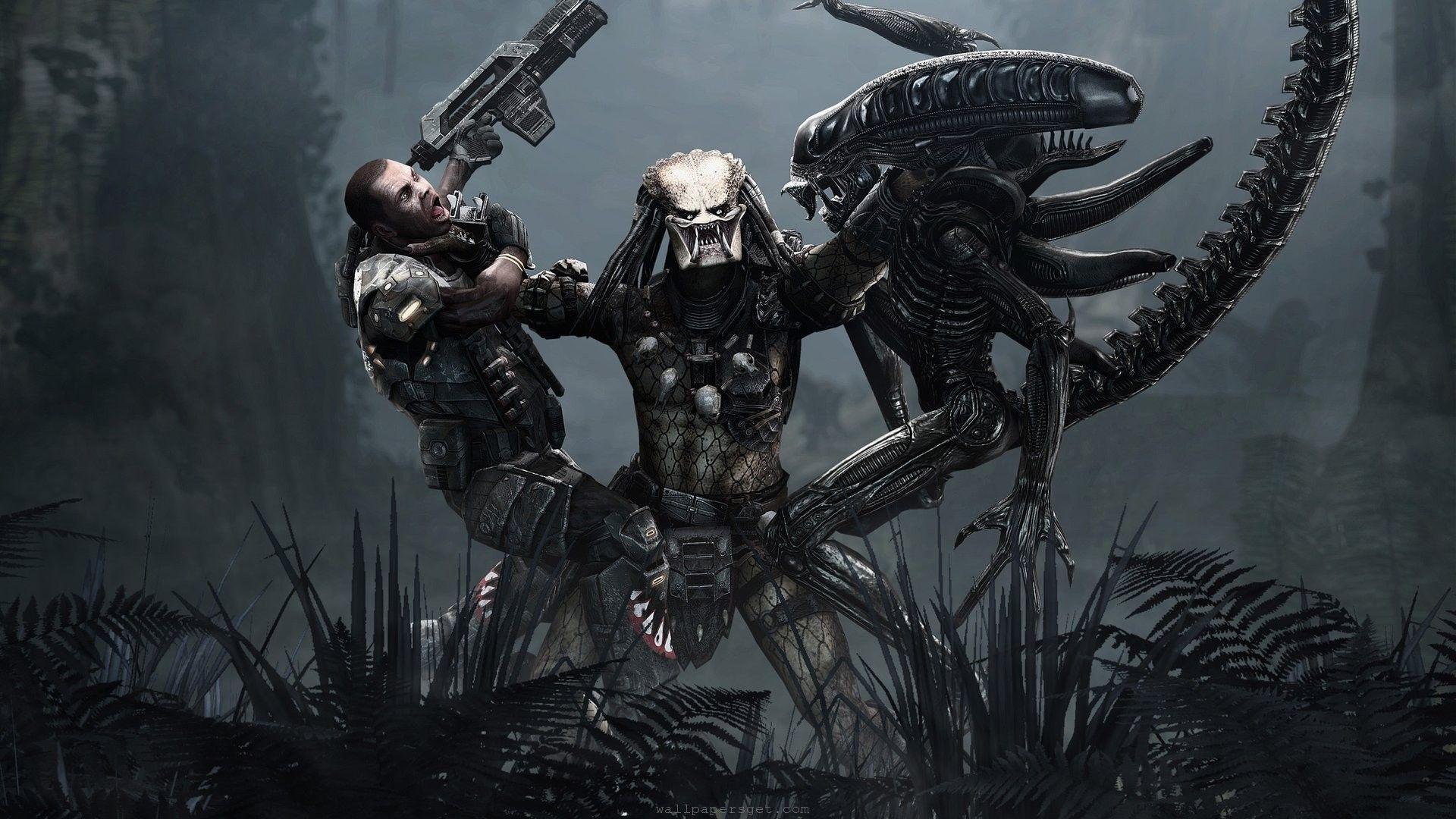 1920x1080 Warrior Wallpaper, Full HD 1080p, Best HD Warrior Pics