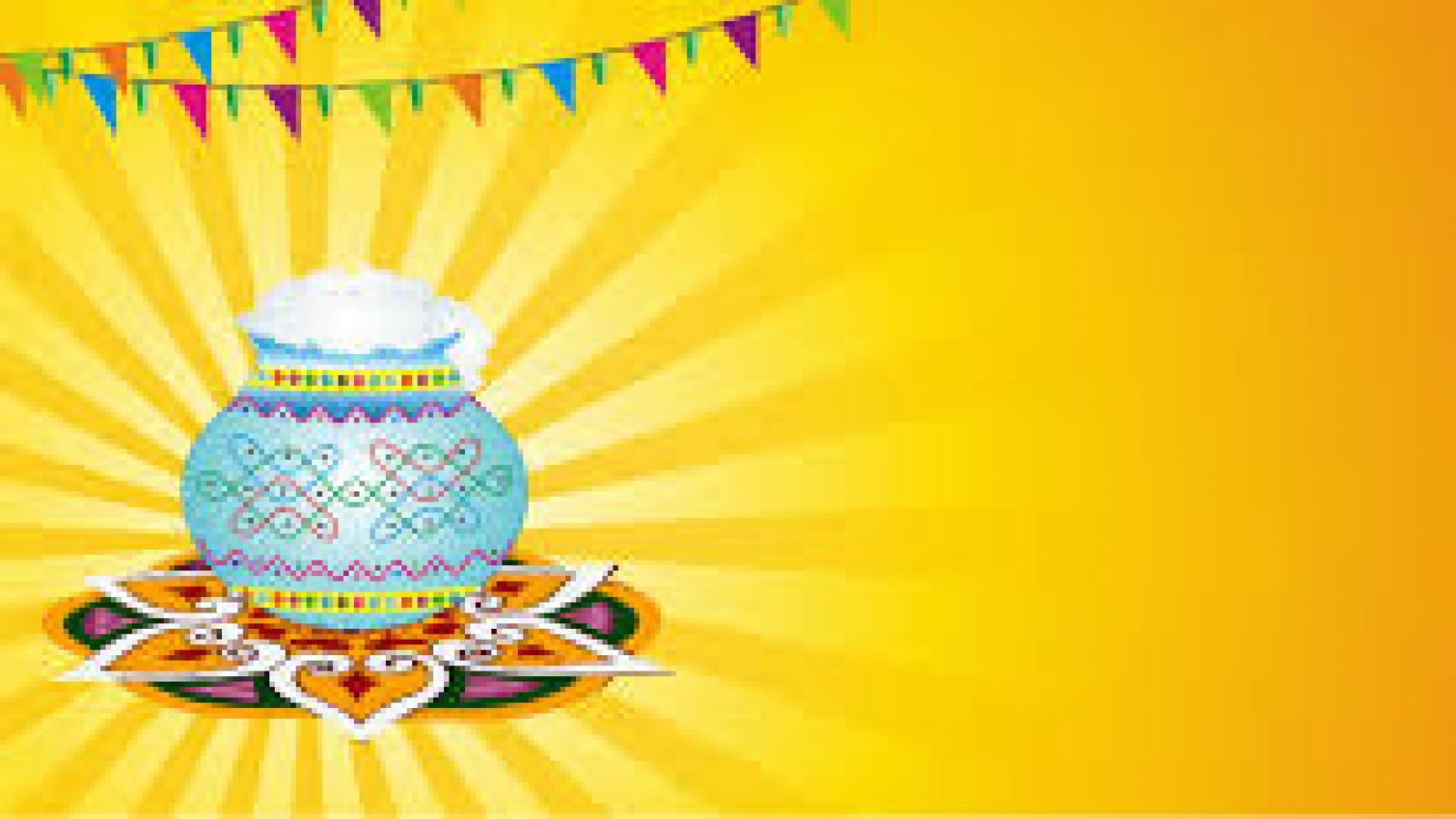 1600x900 Tamil Nadu Celebrates Pongal With Fervour