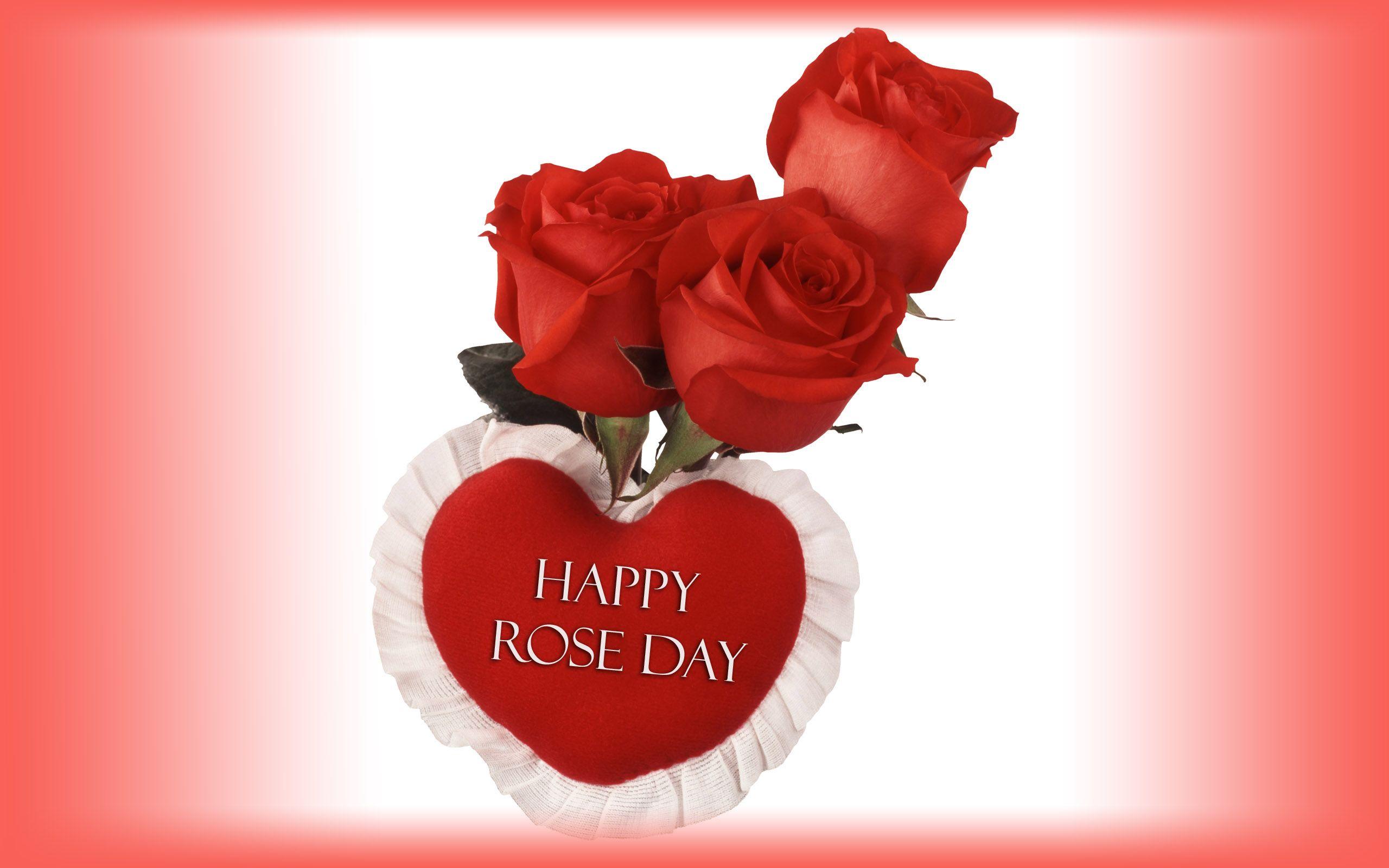 2560x1600 Happy Rose Day Image, Picture & Wallpaper in HD