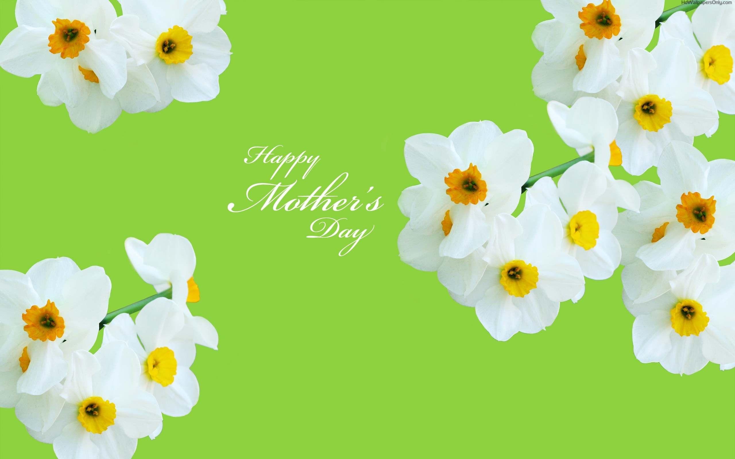 2560x1600 Day, free Image Windows Wallpaper, Mday, Mood, Mom, Display