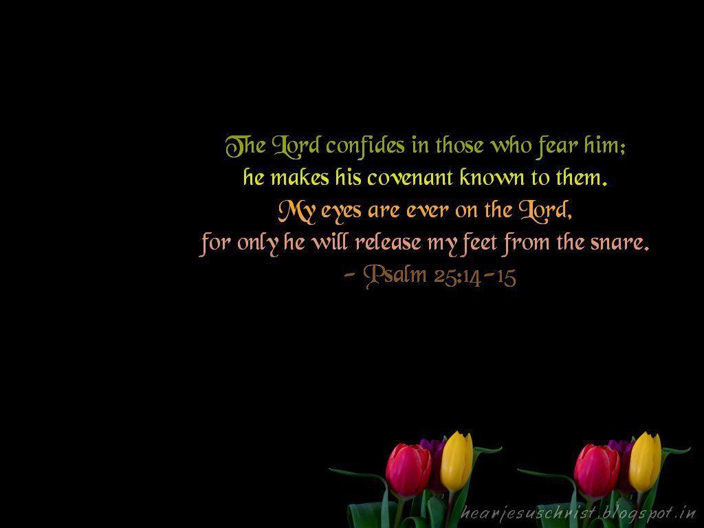 1024x768 Christian Wallpaper: Bible Verse Wallpaper 25:14 15