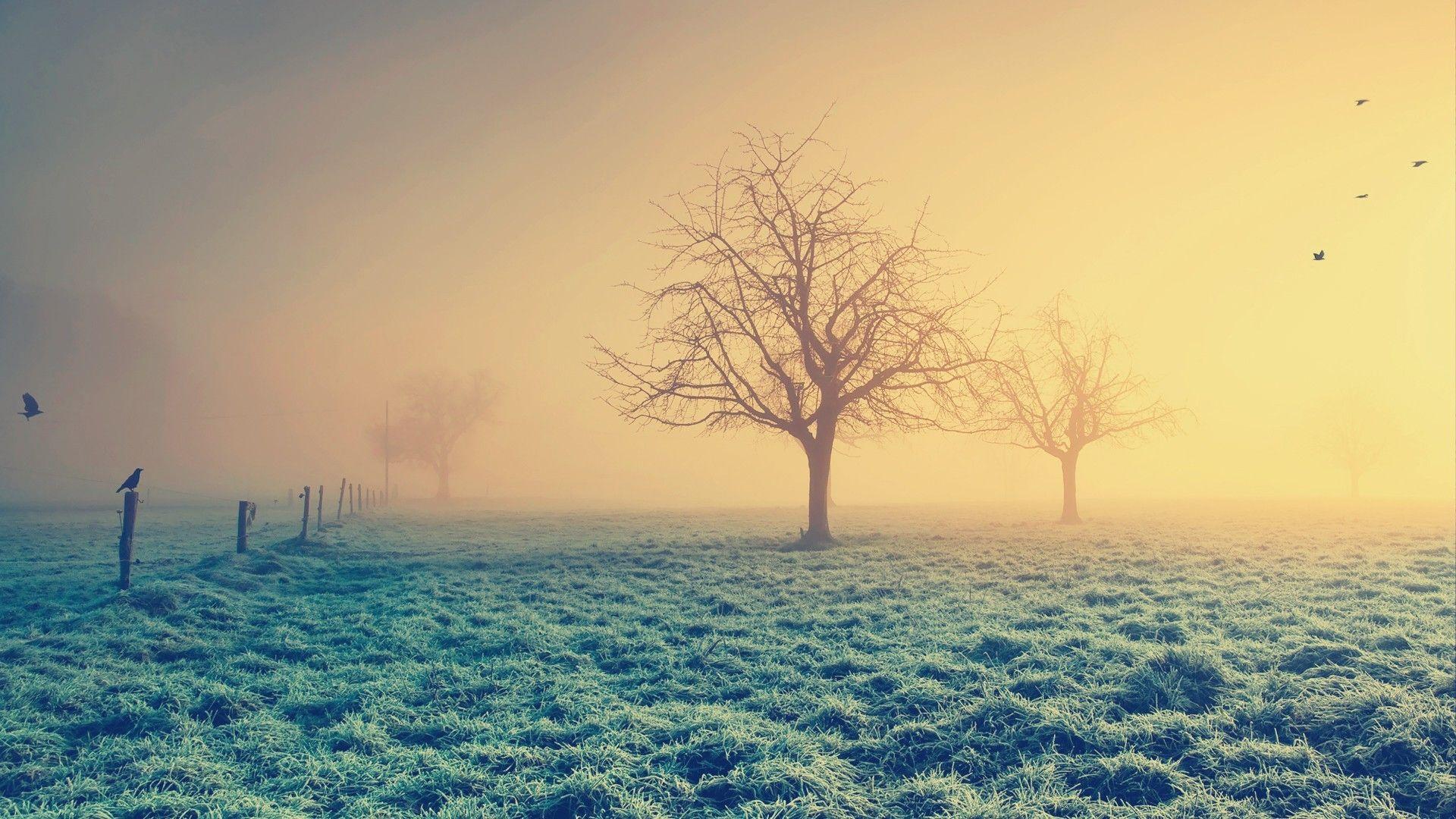 1920x1080 Life Wallpaper
