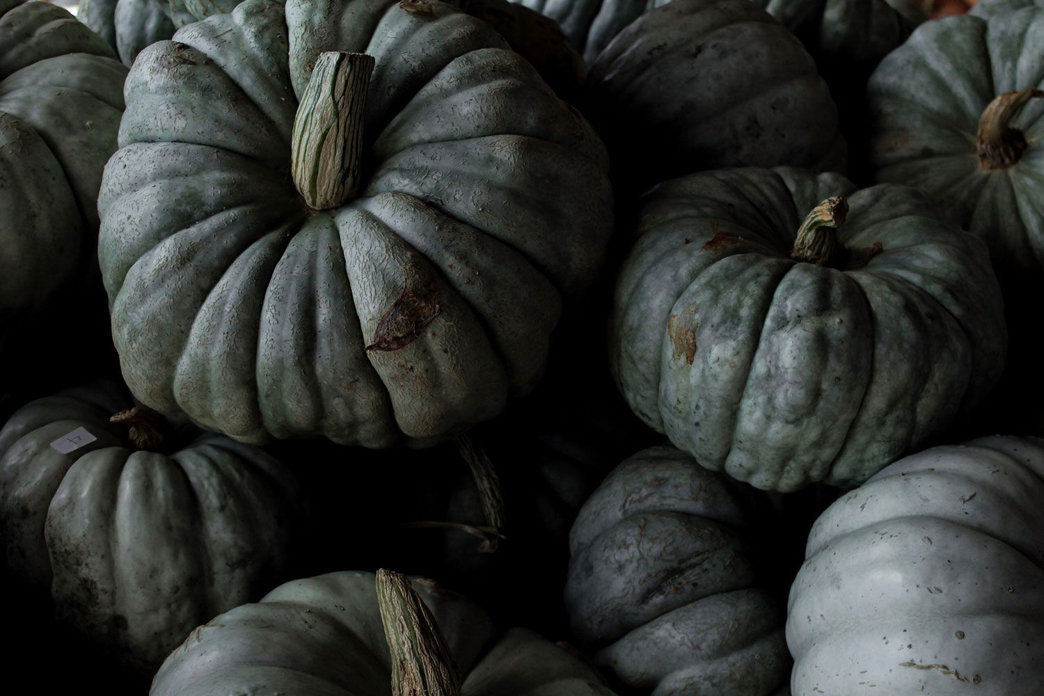 1500x1000 Museums: 10 ways to celebrate Halloween