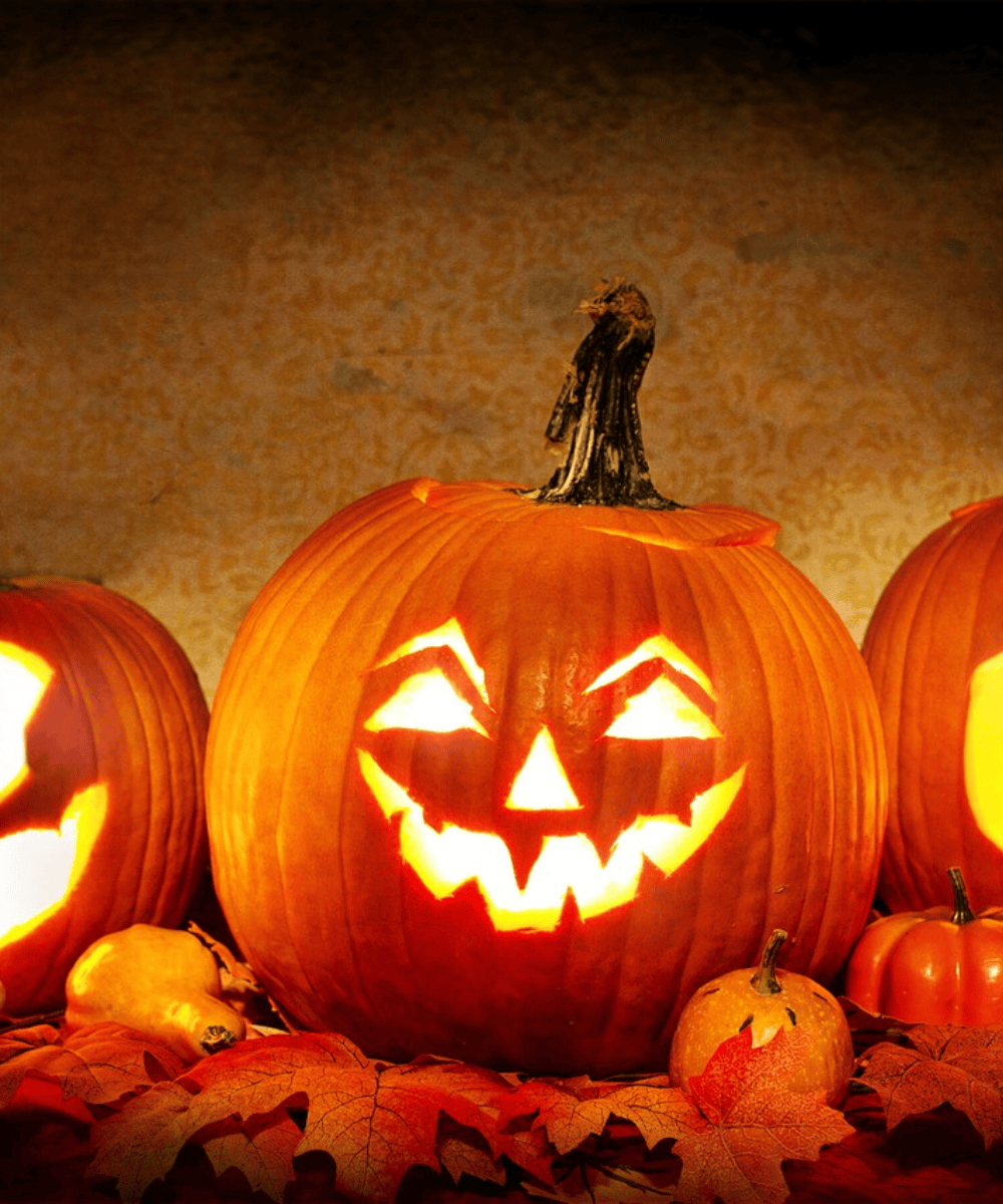 1000x1200 October Means Pumpkins!