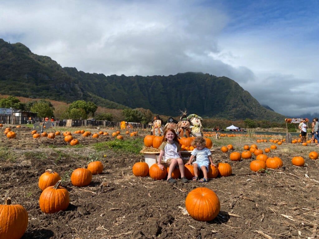 1024x768 Country Farms' Fall Harvest Festival