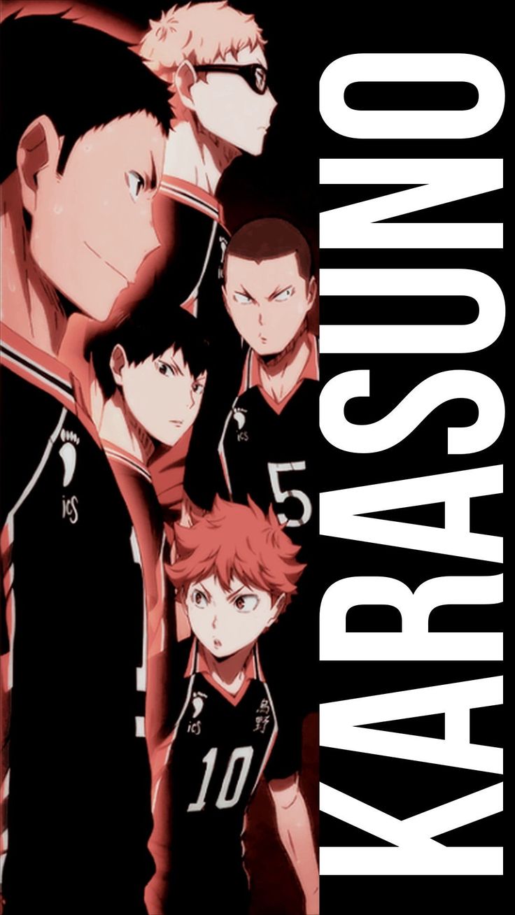736x1308 Karasuno Wallpaper