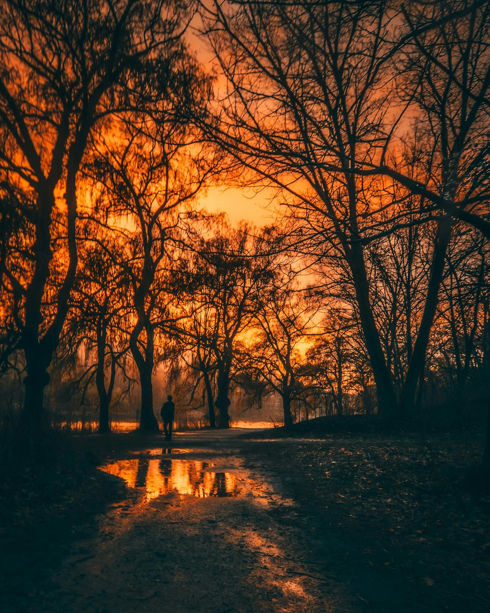 1600x2000 Hdr Photo, Download The BEST Free Hdr & HD Image