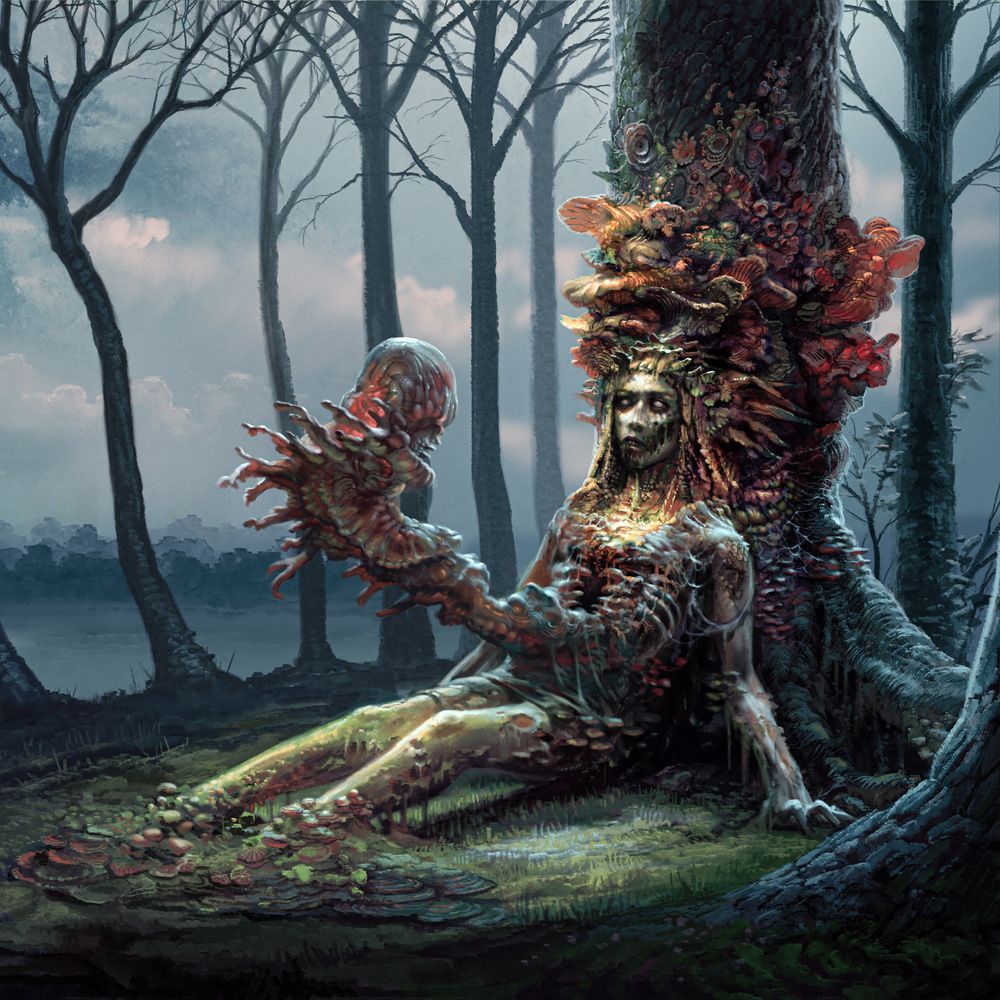 1000x1000 Cadaver