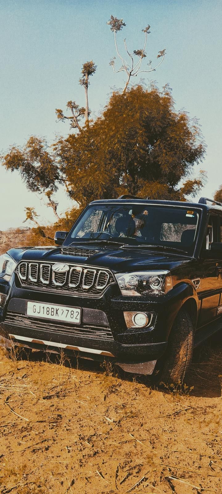 720x1600 Scorpio s11