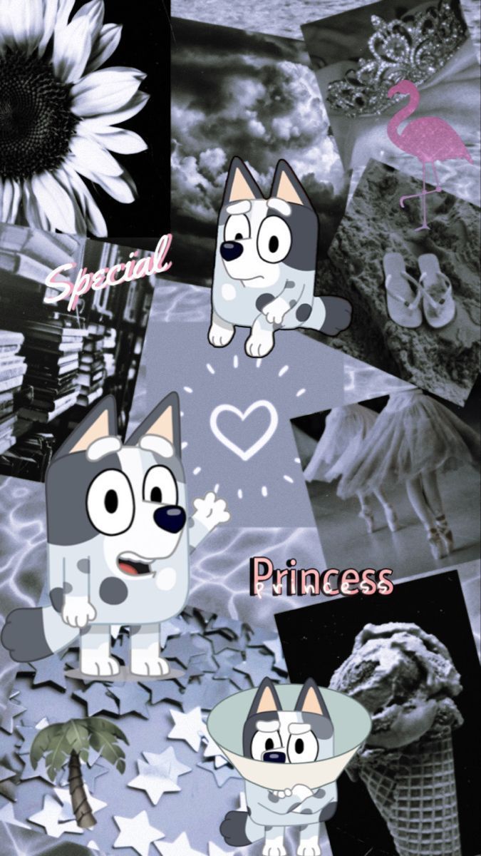 675x1200 Muffin Heeler wallpaper