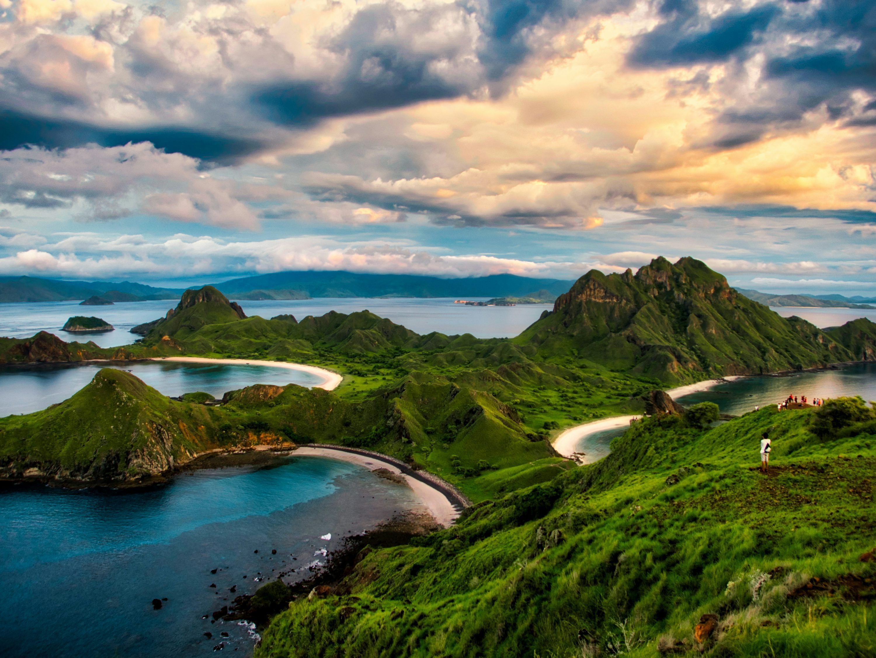 3000x2252 Komodo Picture. Download Free Image