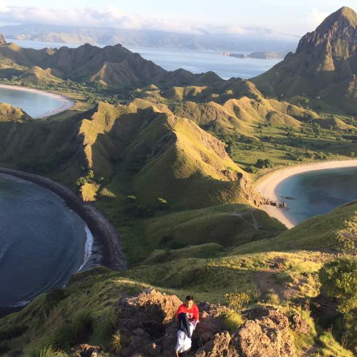 1200x1200 dragons: Komodo is paradise refound
