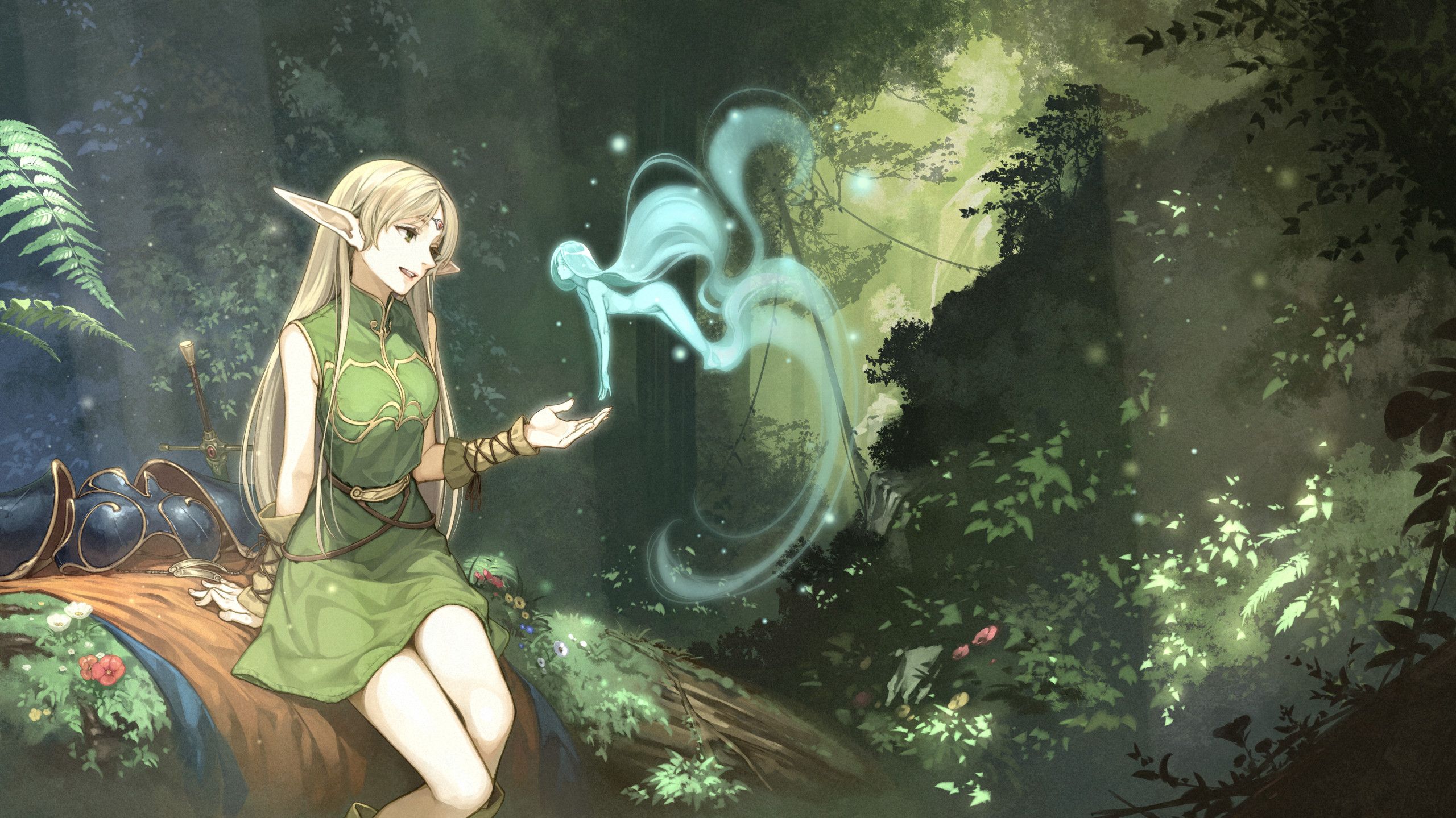2560x1439 Anime Record Of Lodoss War HD Wallpaper