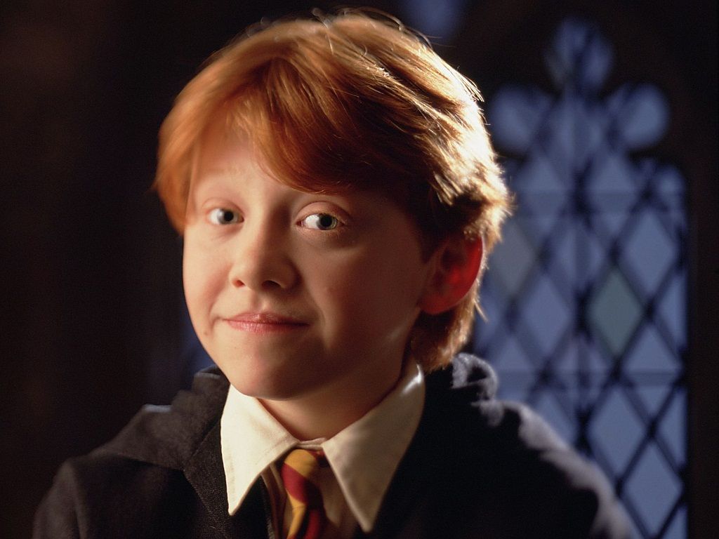 1024x768 Ron Weasley. Warner Bros characters