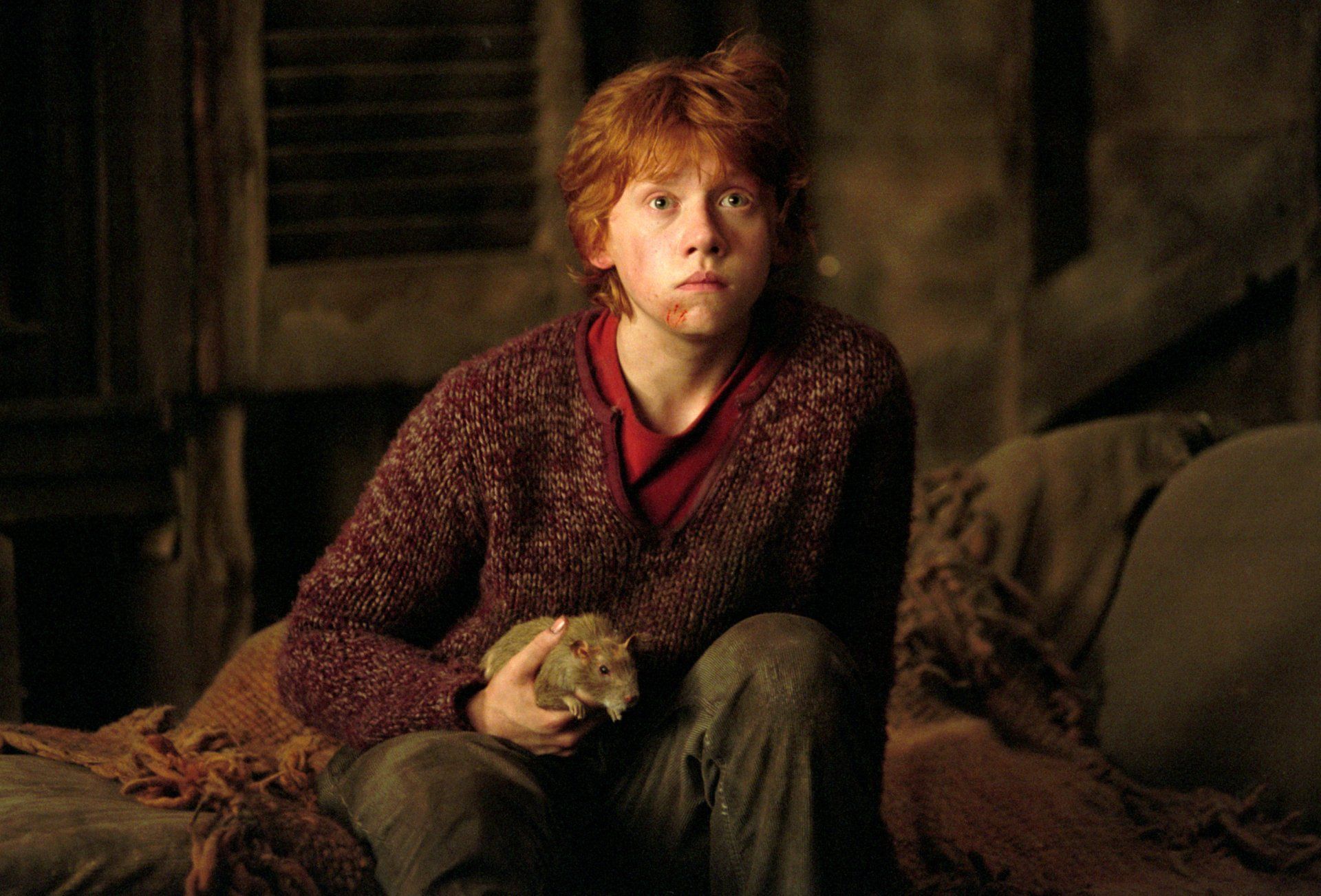 1920x1303 Download Peter Pettigrew Rupert Grint