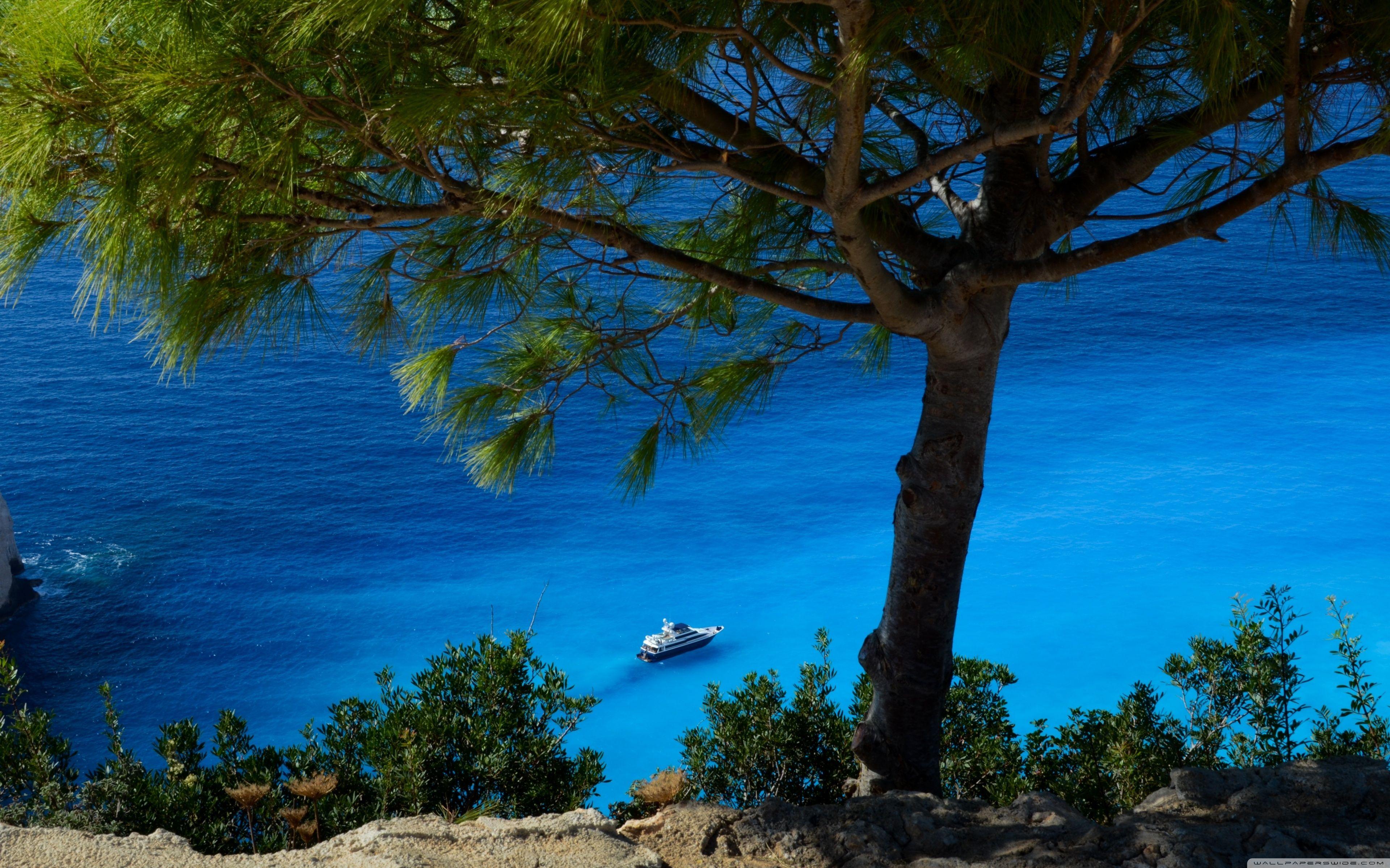 Wellyu Mediterranean Sea Garden Landscape Oil Painting Wallpaper  Backgrounds | PNG Free Download - Pikbest