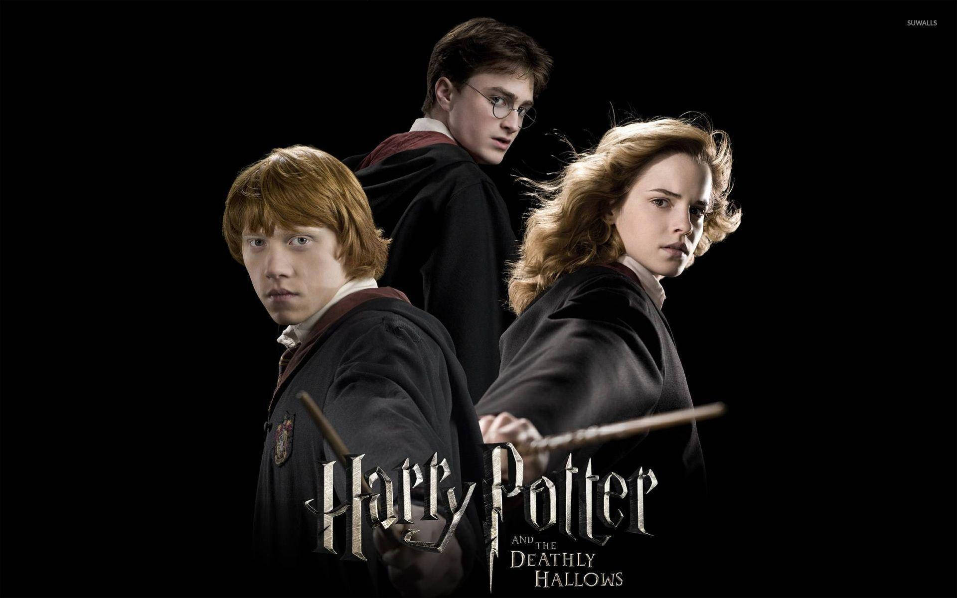 1920x1200 Harry Potter Saga Wallpaper