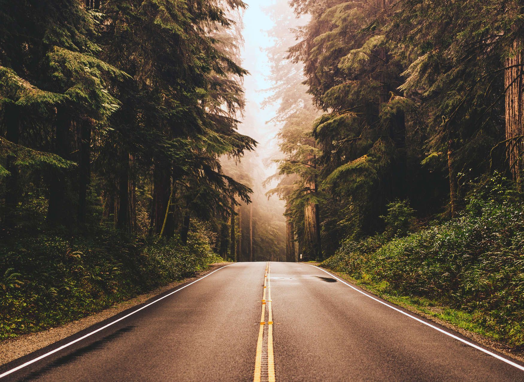 1750x1275 Photo wallpaper American Highway