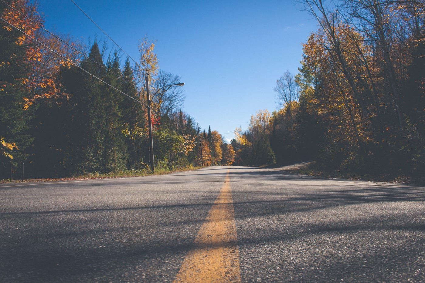 1400x933 Lolita” as an American Road Novel