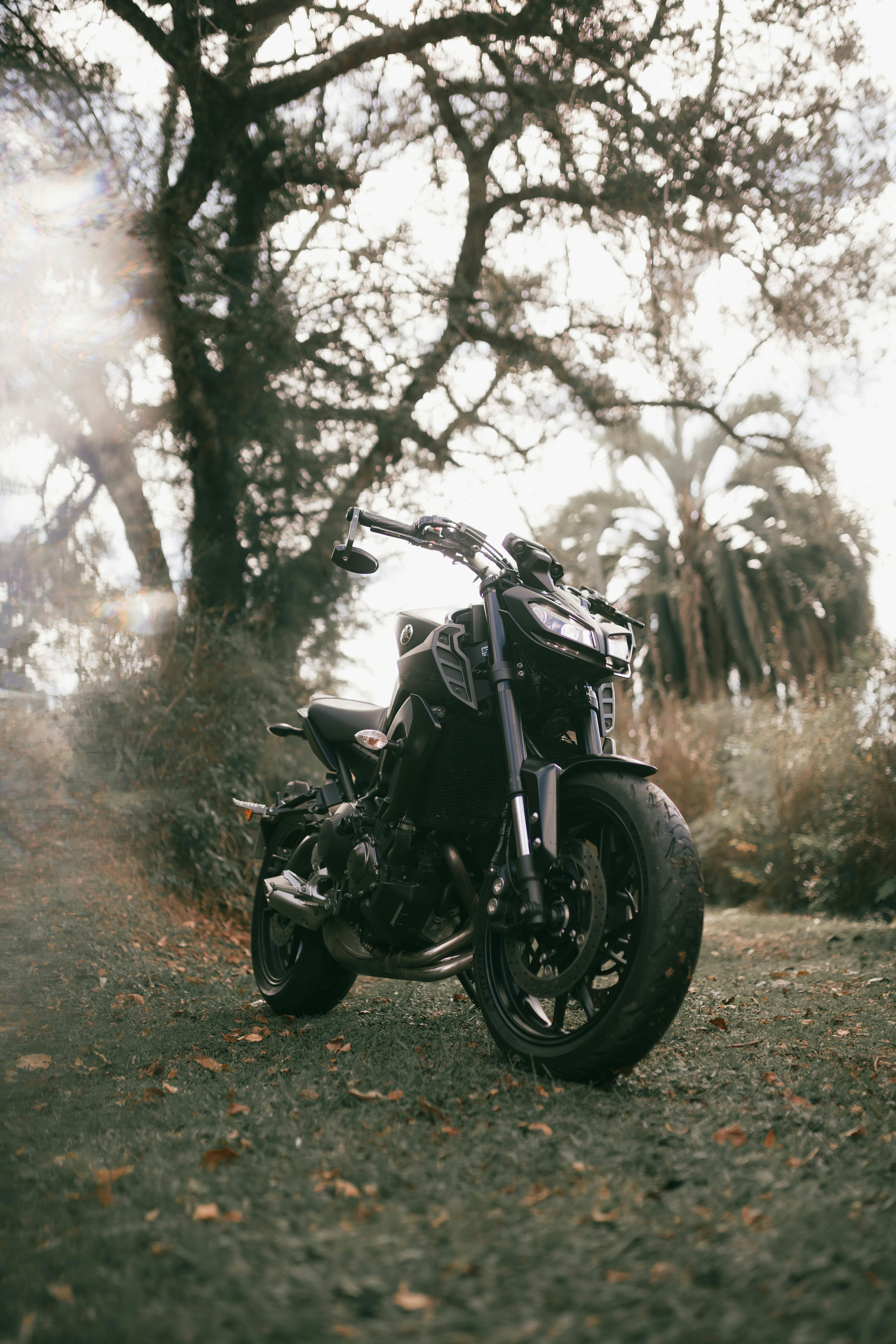 4160x6240 Black Yamaha MT 09 Motorcycle Standing