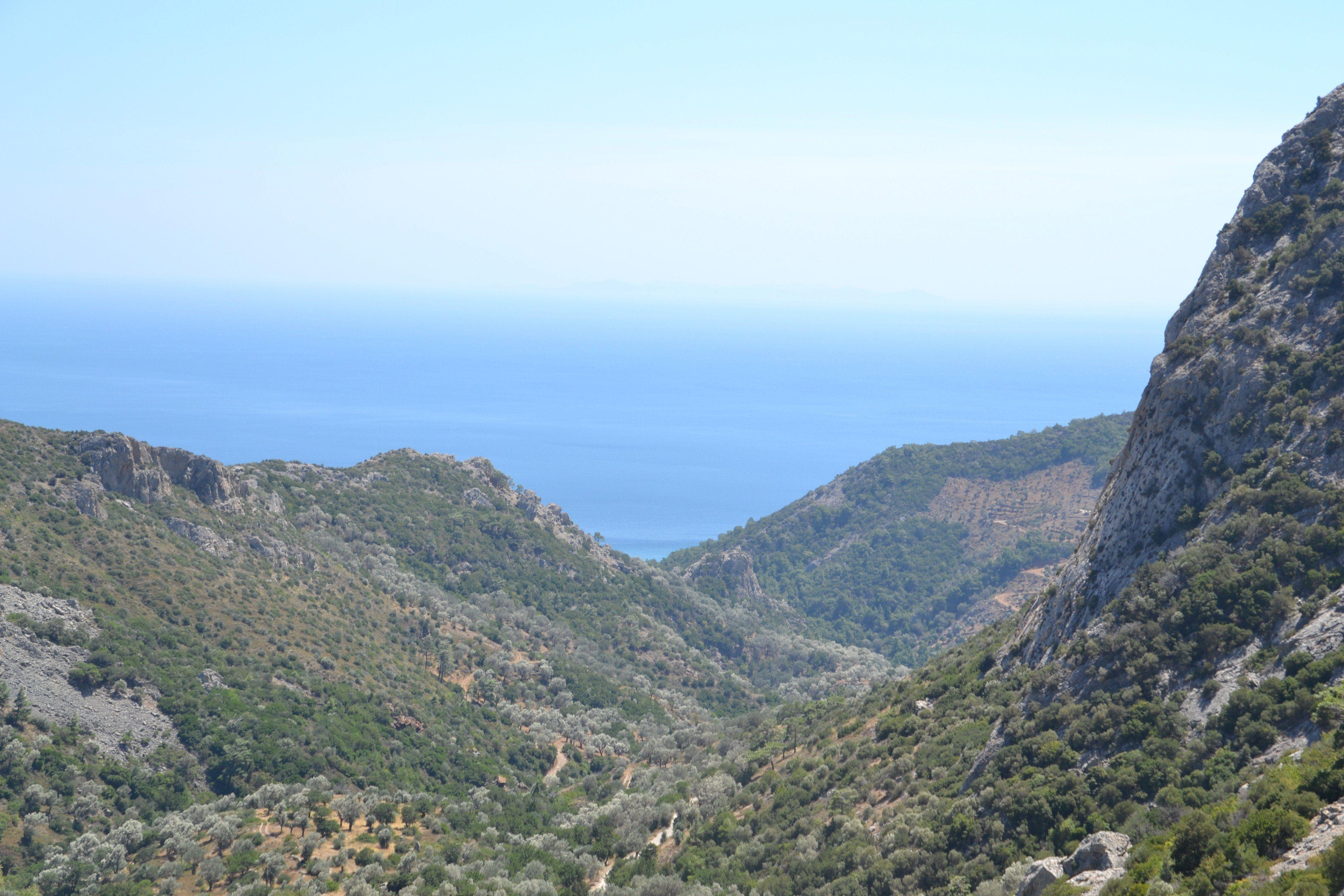 4608x3072 landscape samos goats mediterranean greece boat