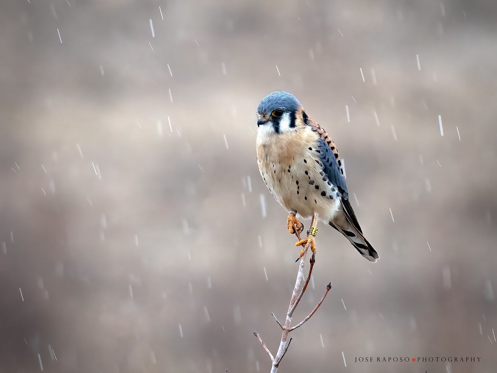 1599x1201 Backcountry Gallery Photography Forums
