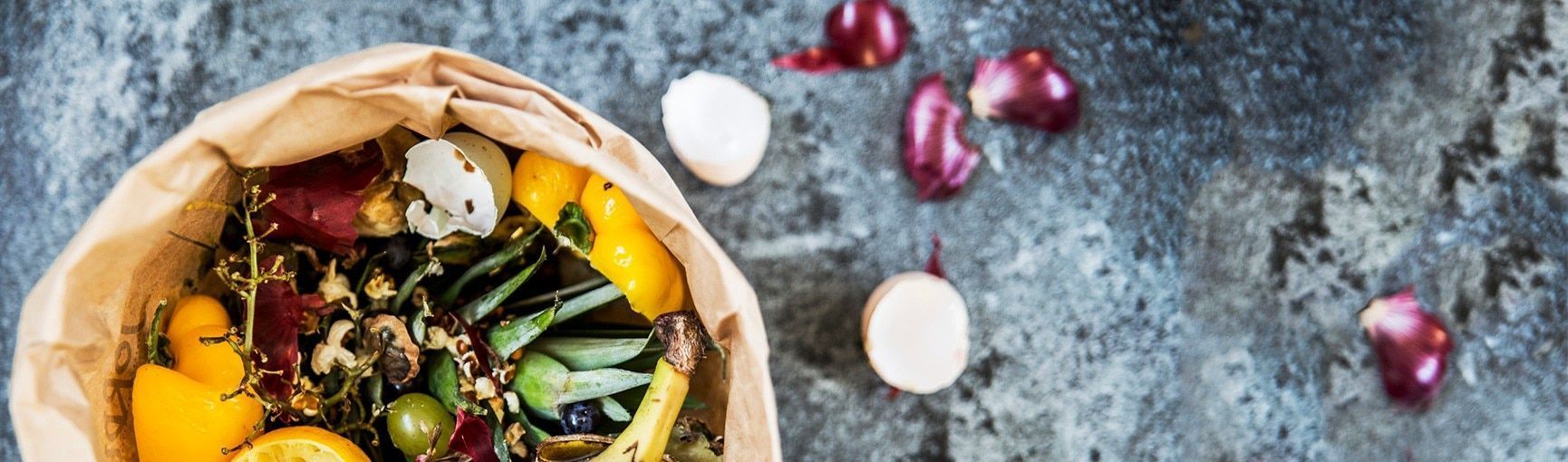 1730x510 Regeneration Food: Waste