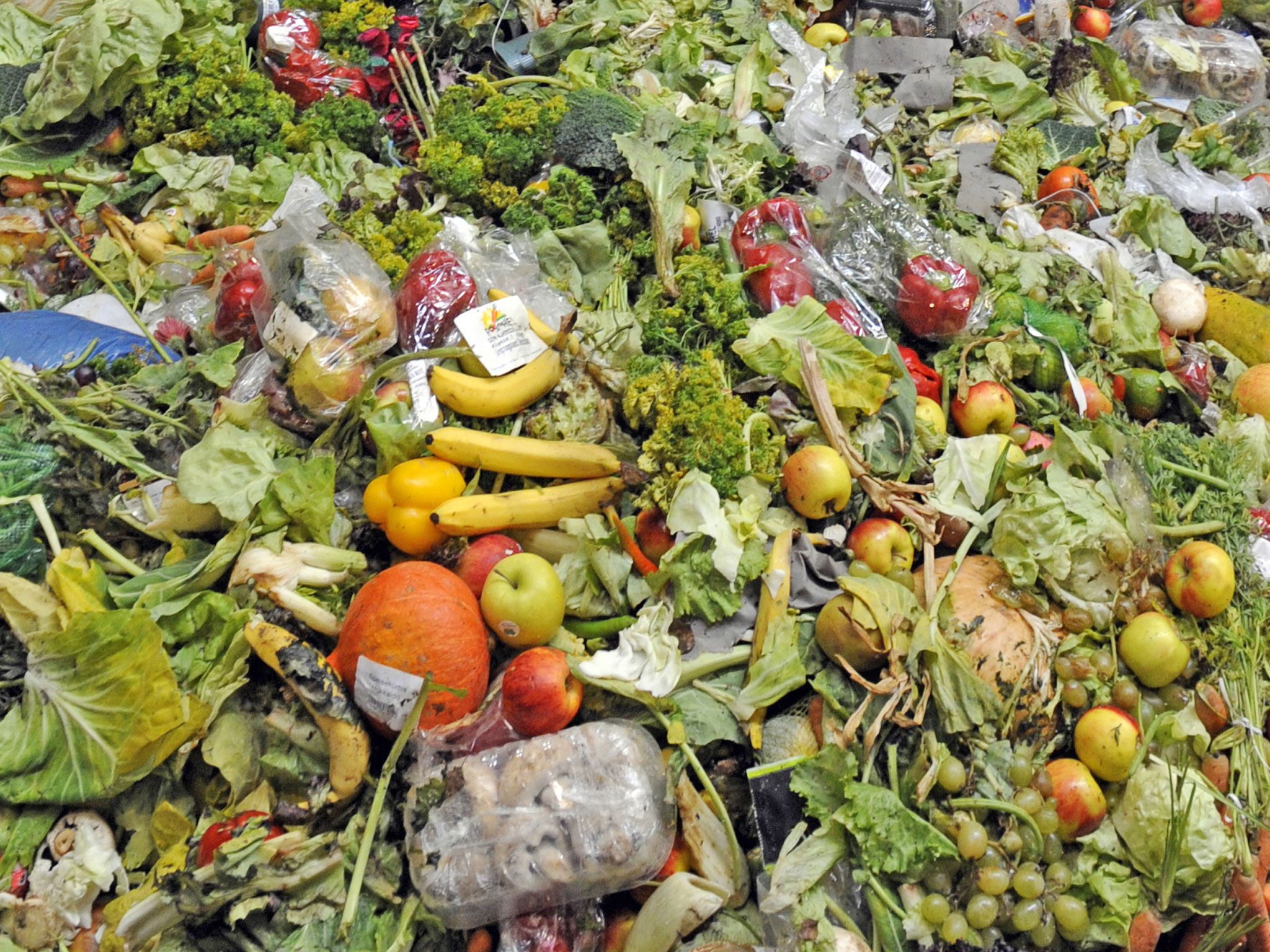 2048x1536 Food Waste Must Be Prevented For