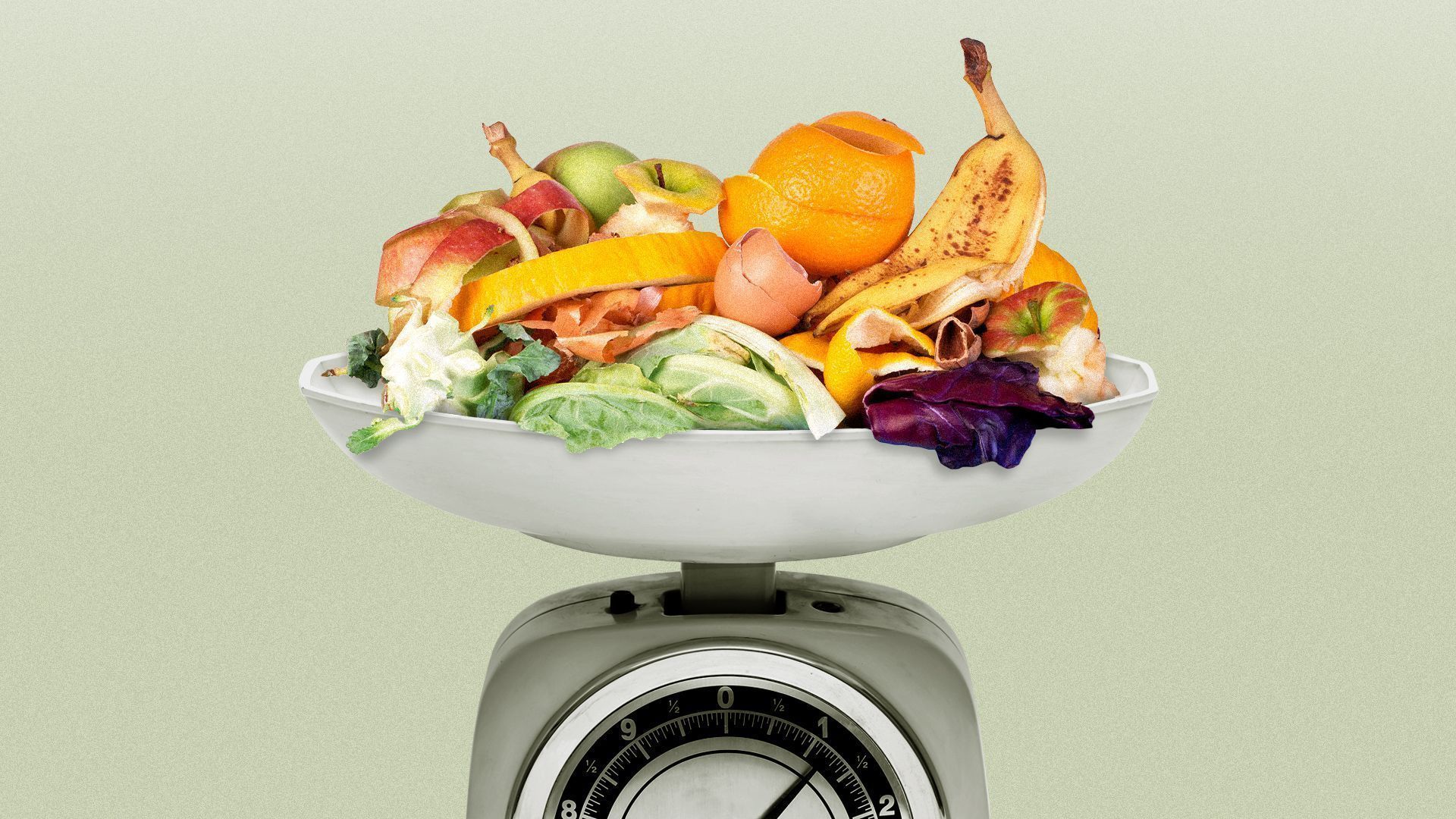 1920x1080 Climate: Startups eye food waste
