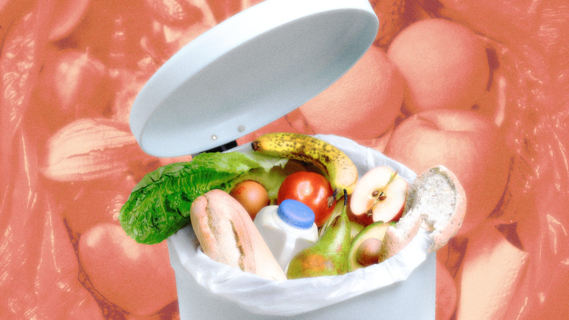 1920x1080 Vermont just banned food waste in trash