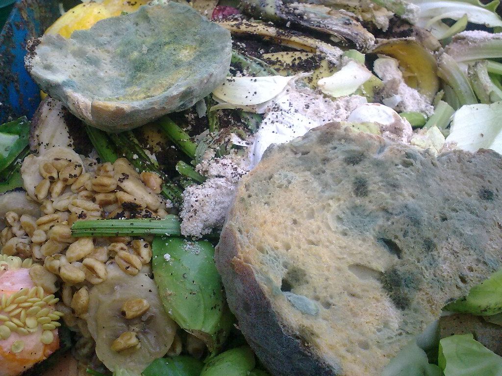 1024x768 Food waste 2