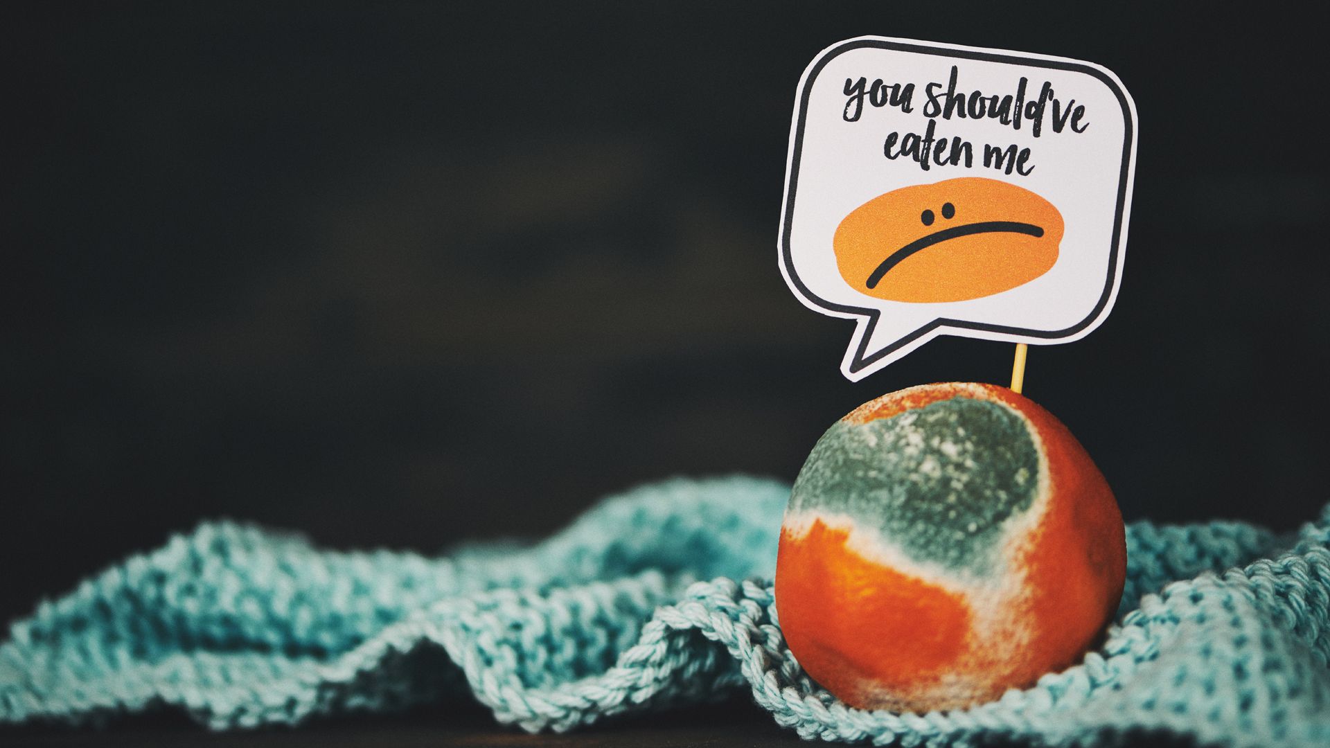 1920x1080 Why you should care about food waste