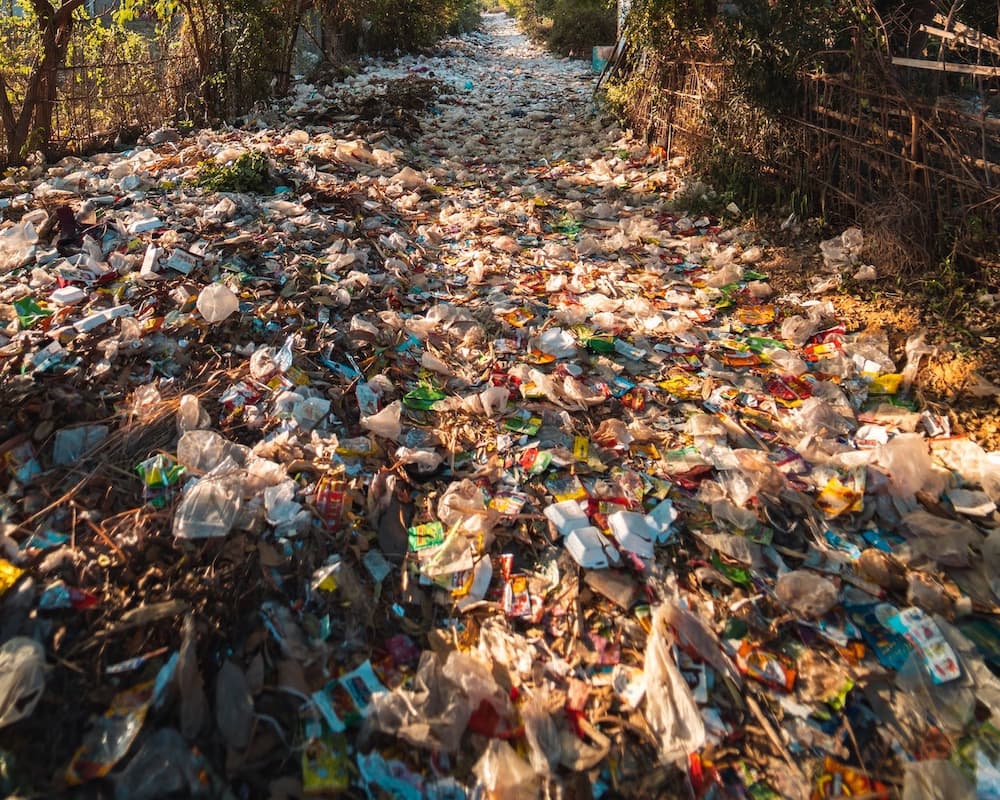 1000x800 Pros and Cons Of Reducing Food Waste
