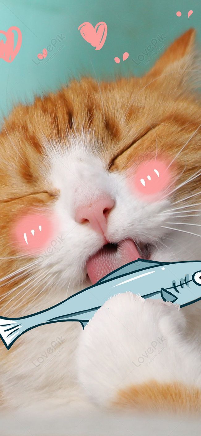 650x1407 Gambar Wallpaper Ponsel Lucu Kucing