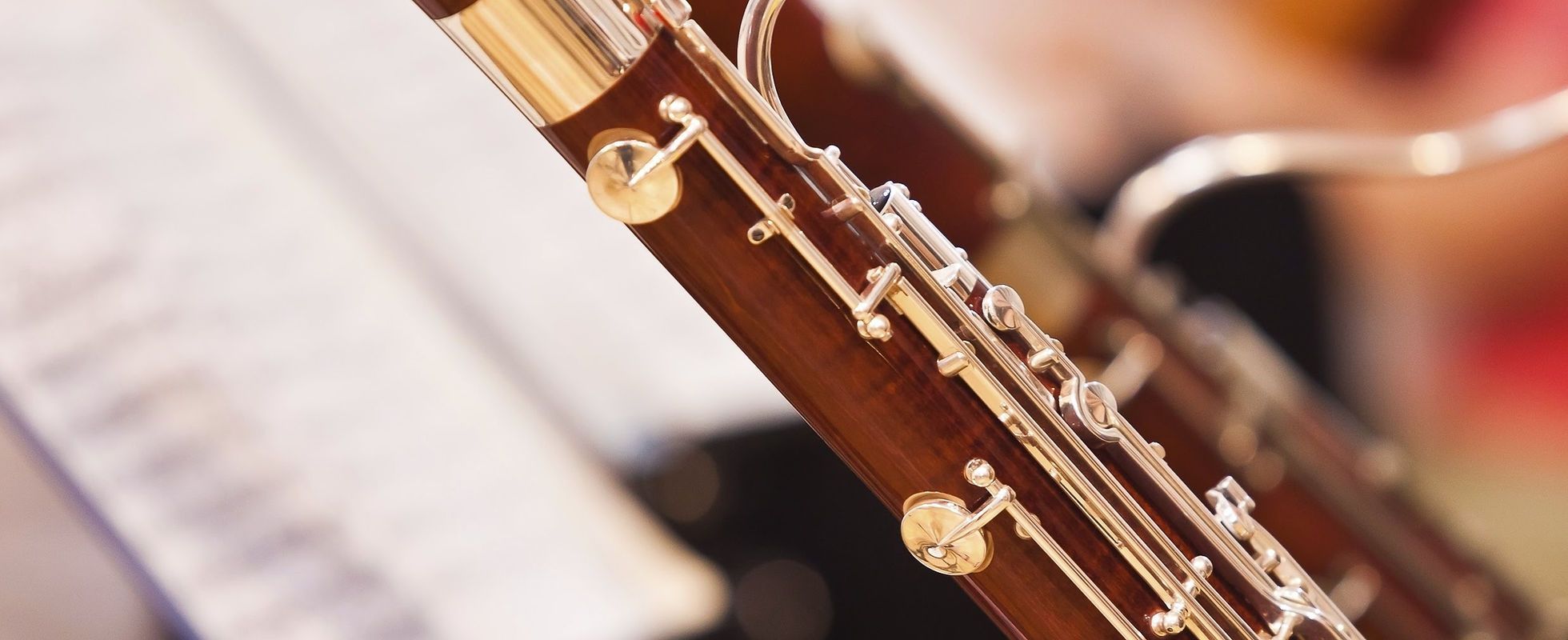 1960x800 Bassoon