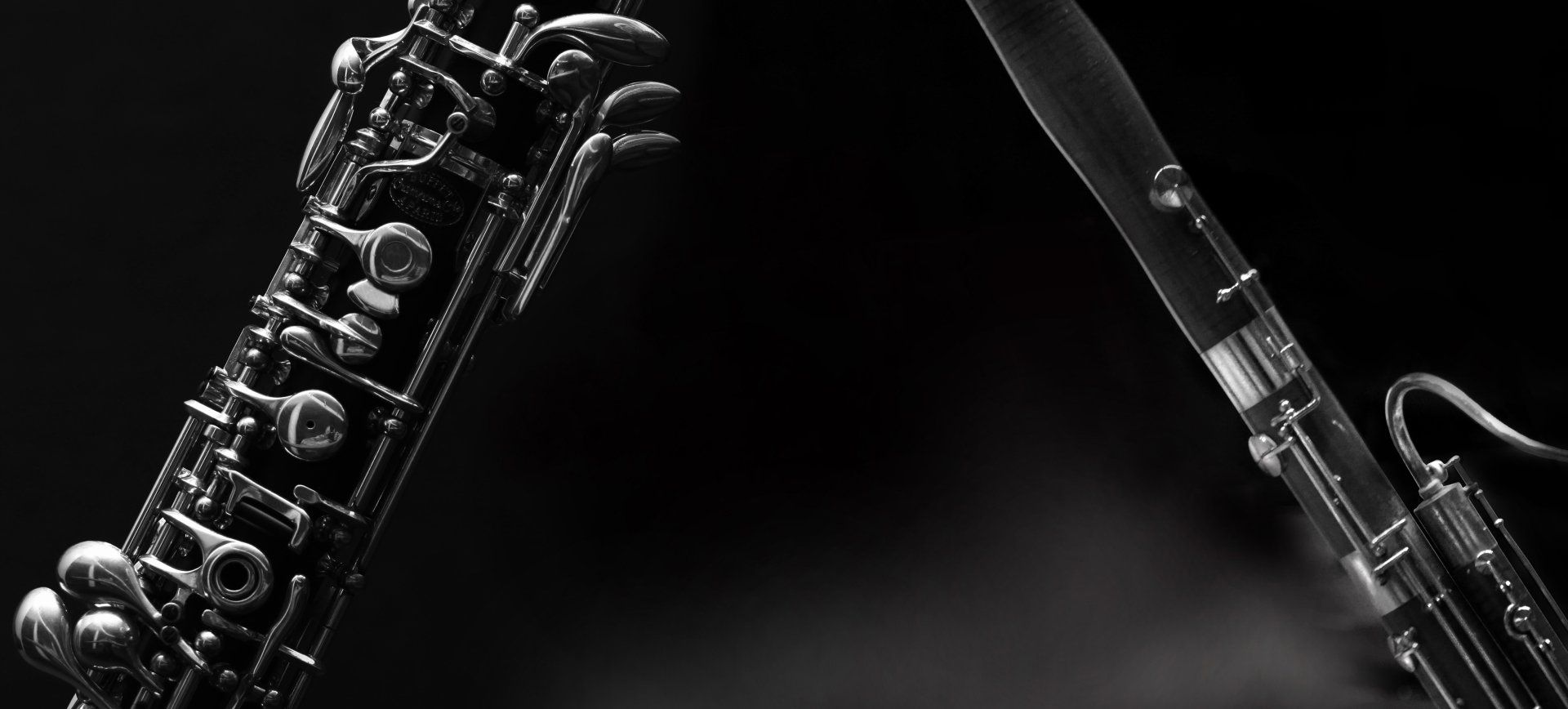 1920x868 ENDANGERED INSTRUMENTS