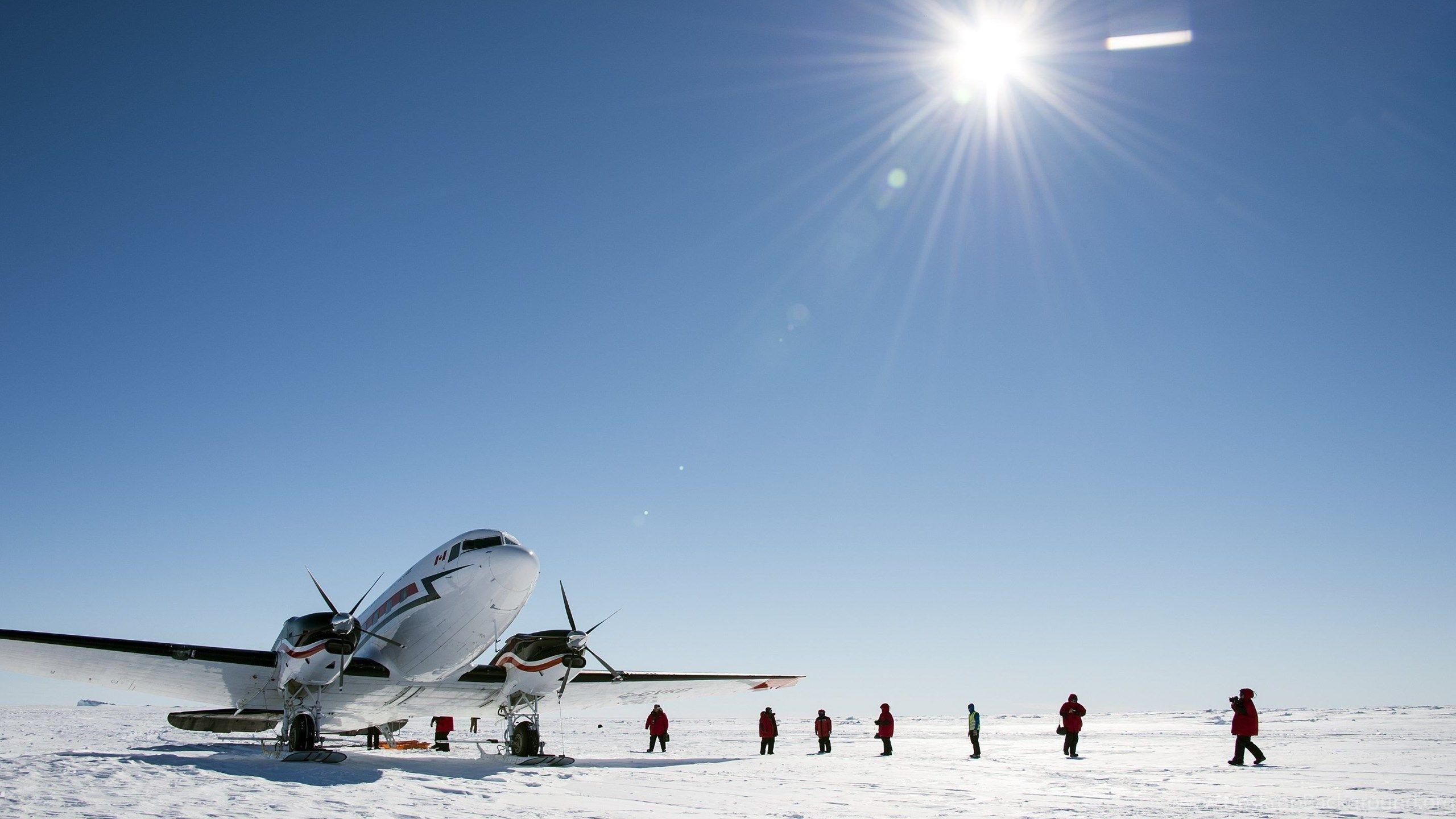 2560x1440 Trip Through Antarctica Wallpaper - HD Wallpaper Desktop
